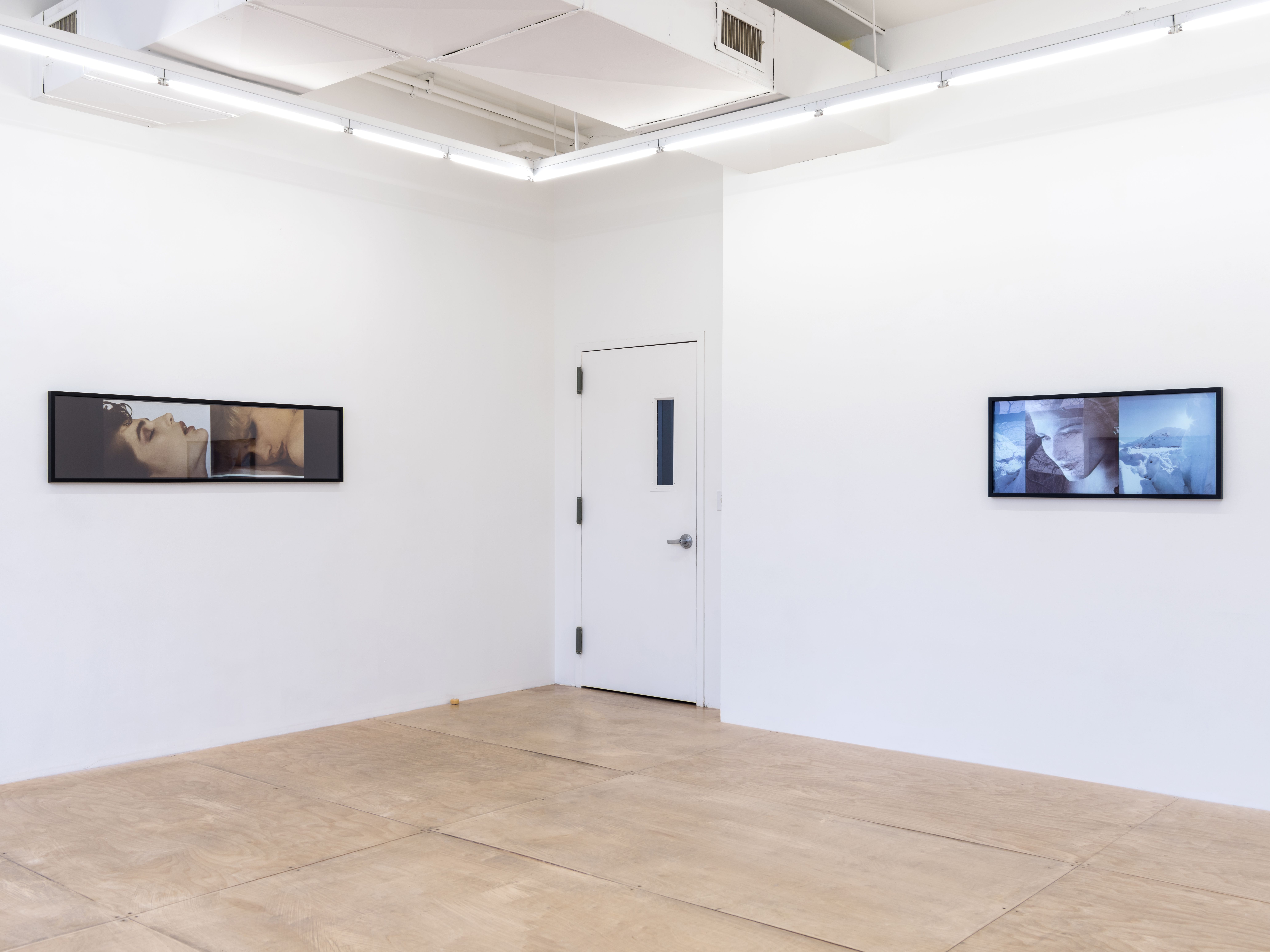 Vikky Alexander, 1981–1983 at Downs & Ross, photo 3