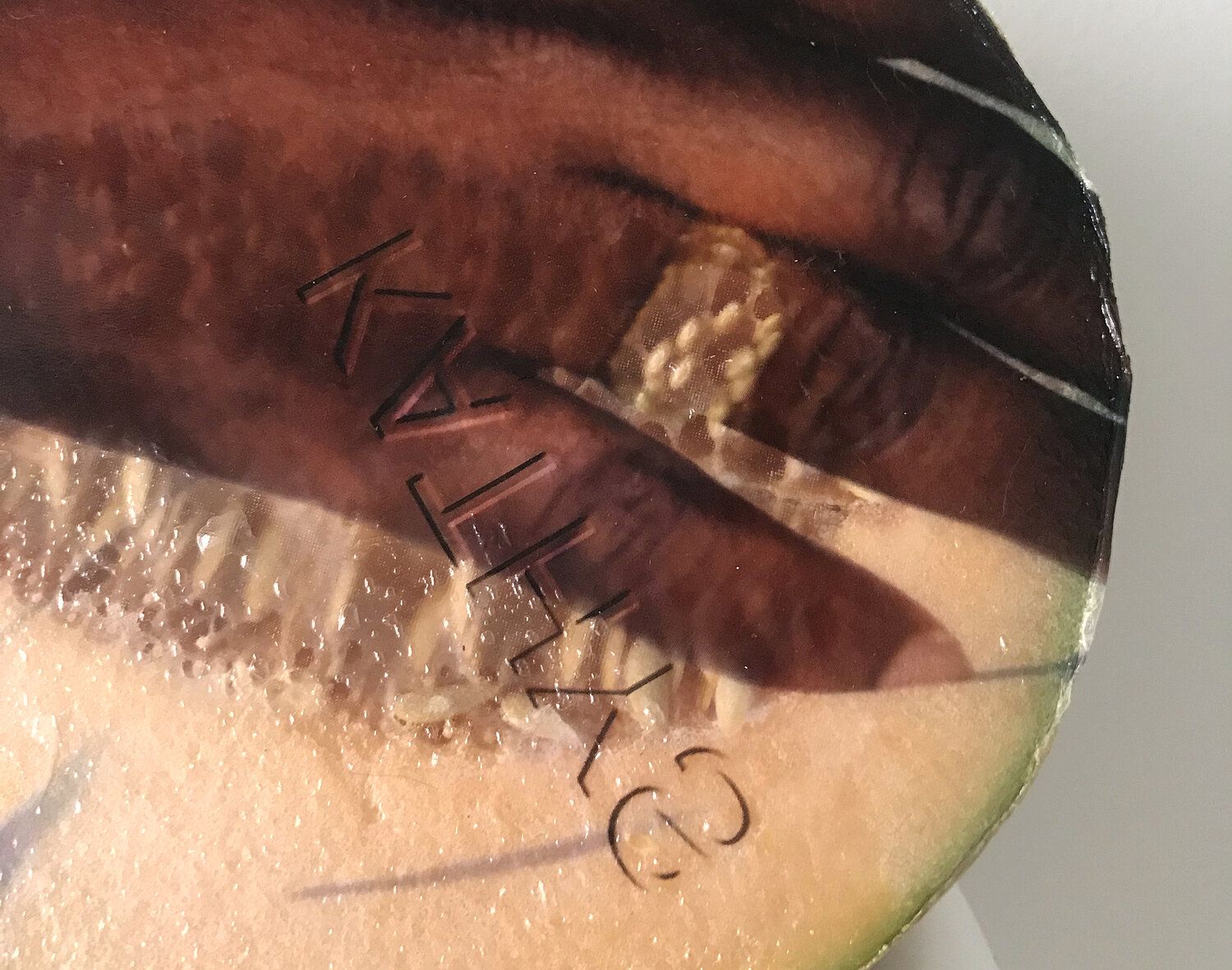 Karinne Smith, Melon Skin at M 2 3, photo 6