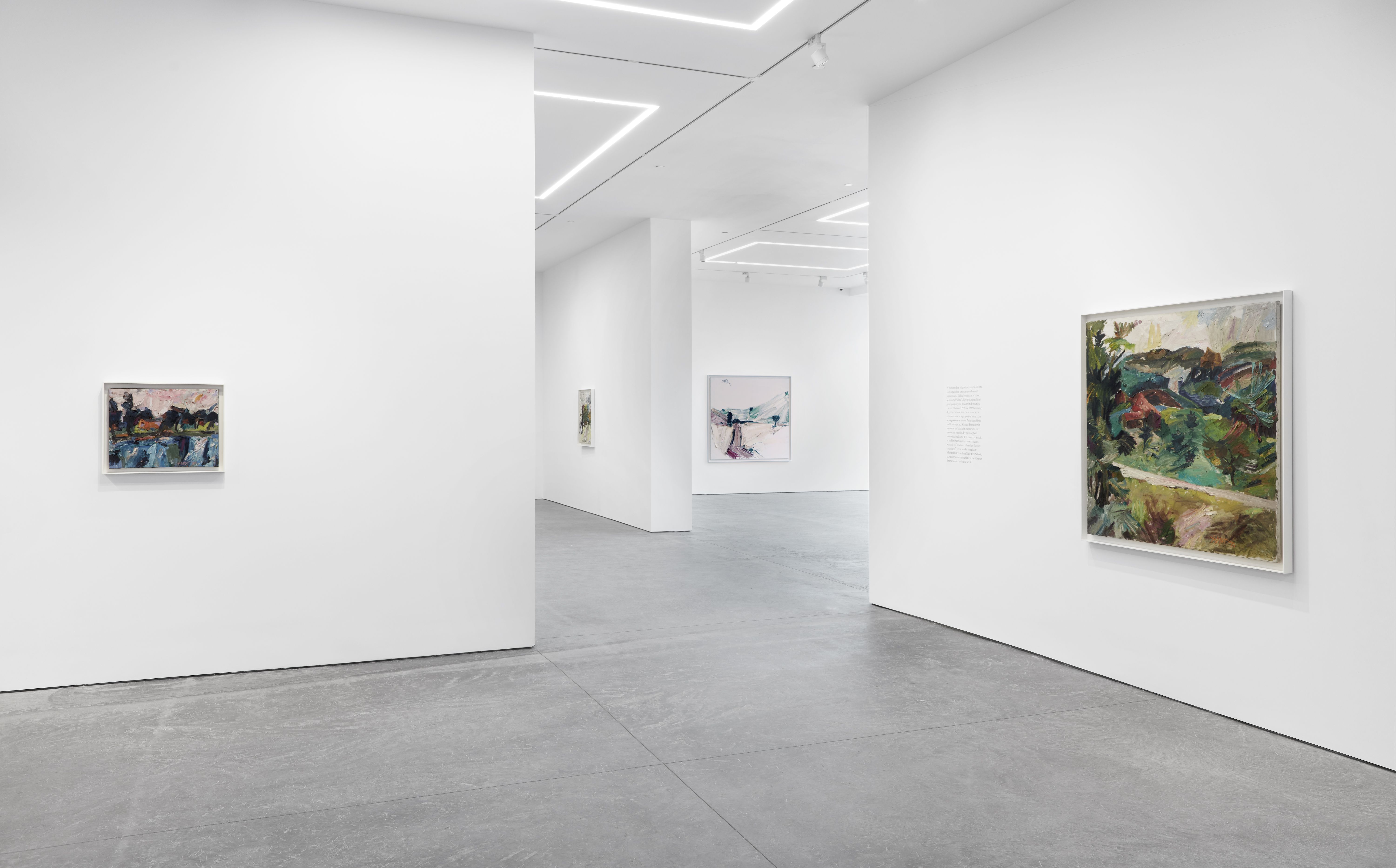 Manoucher Yektai, Landscapes at Karma, photo 20
