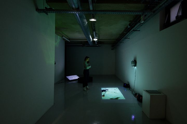 Martin Dammann, image 5 of 6