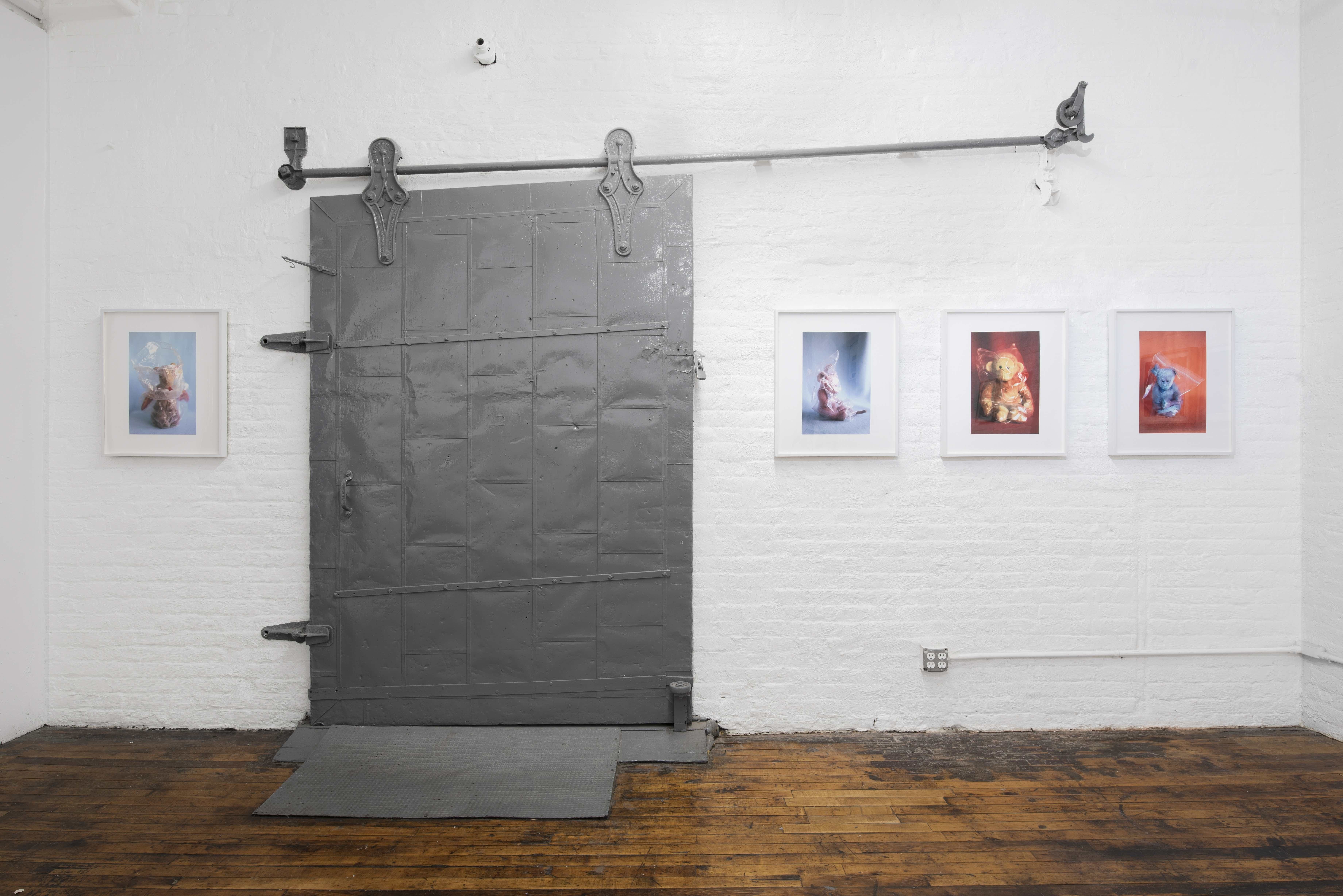 Meredith Allen & Carol Saft, image 2 of 9