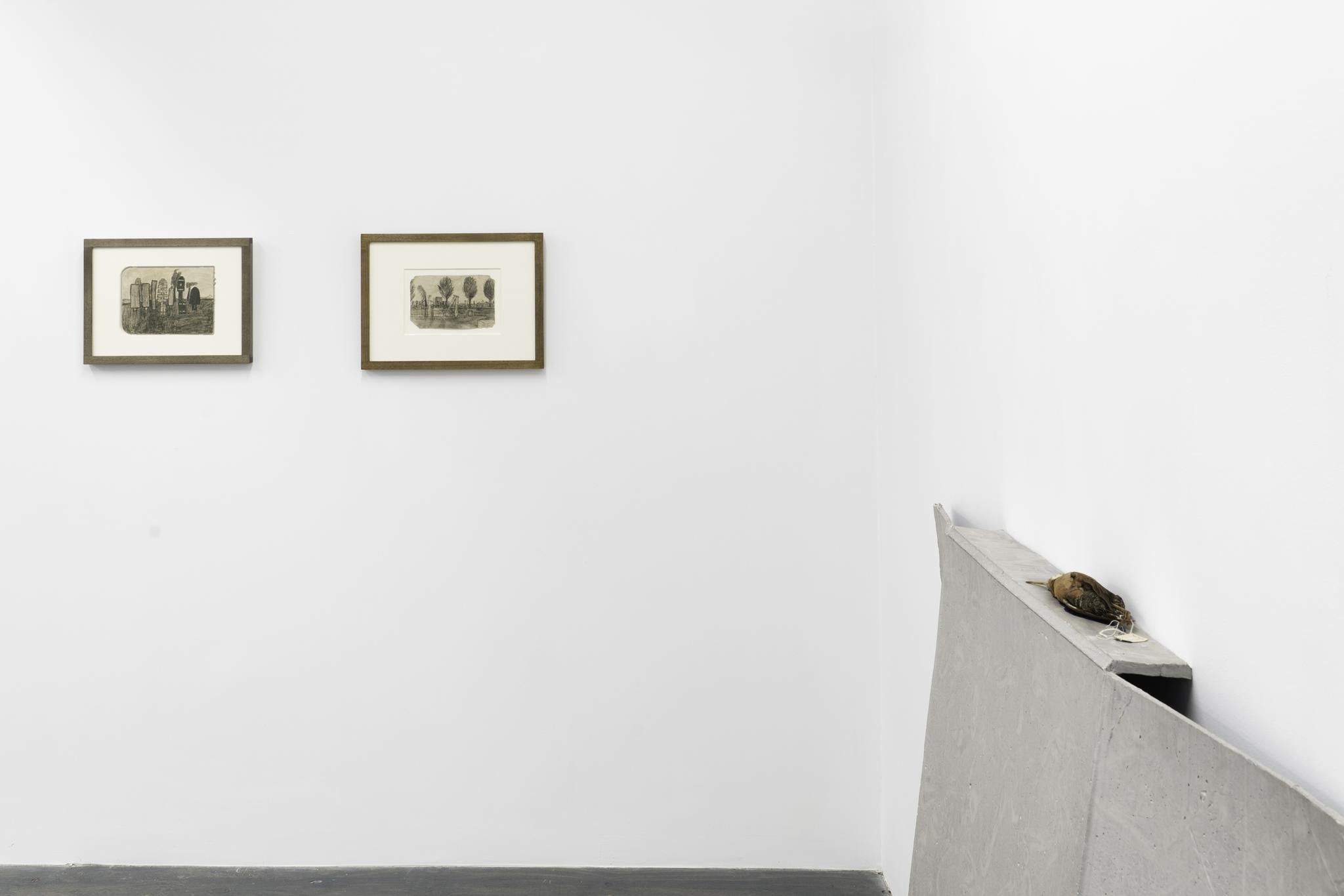 Installation view 2
