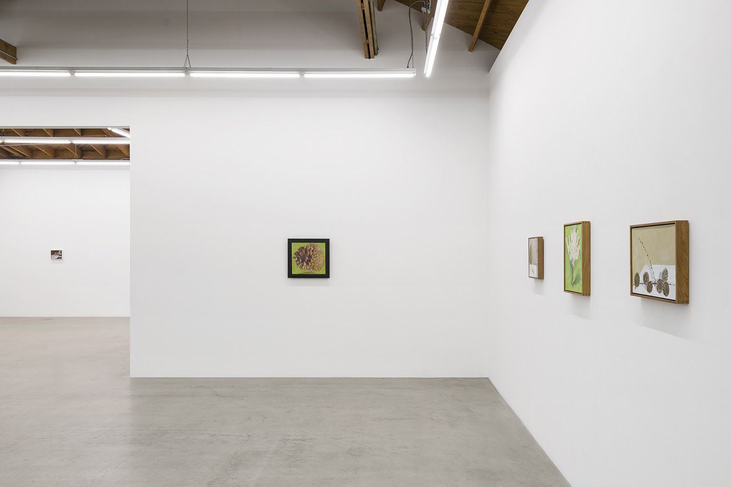 Lois Dodd & Ellen Siebers, Lois Dodd & Ellen Siebers at Parrasch Heijnen, photo 2