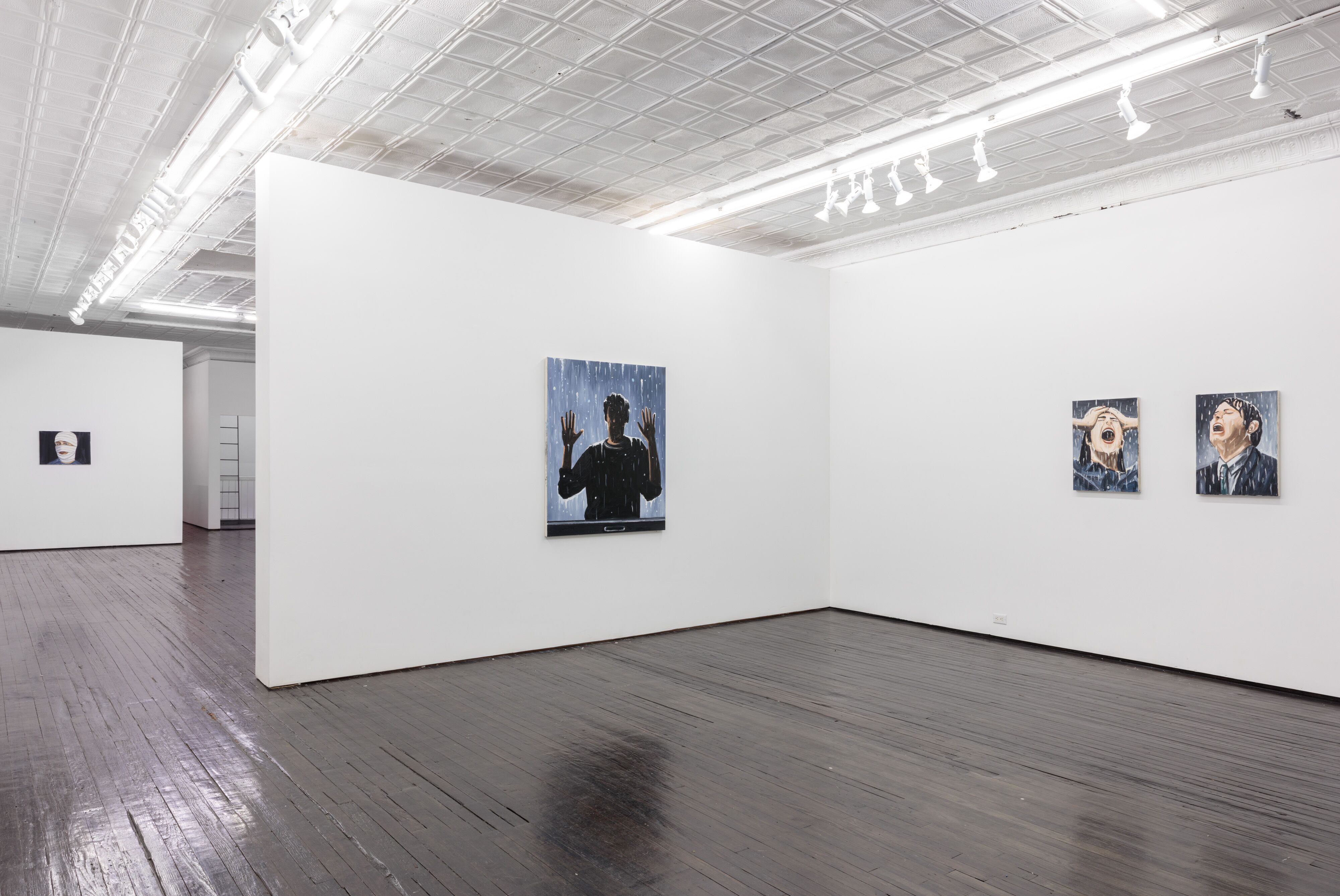 Richard Bosman, High Anxiety at Nicelle Beauchene, photo 4