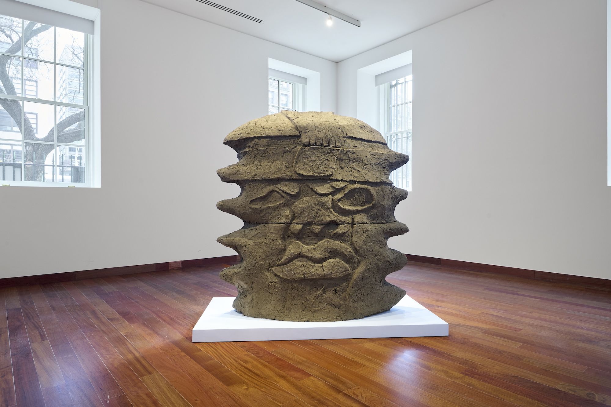 Beatriz Cortez & Rafa Esparza, Earth and Cosmos at Americas Society, photo 13