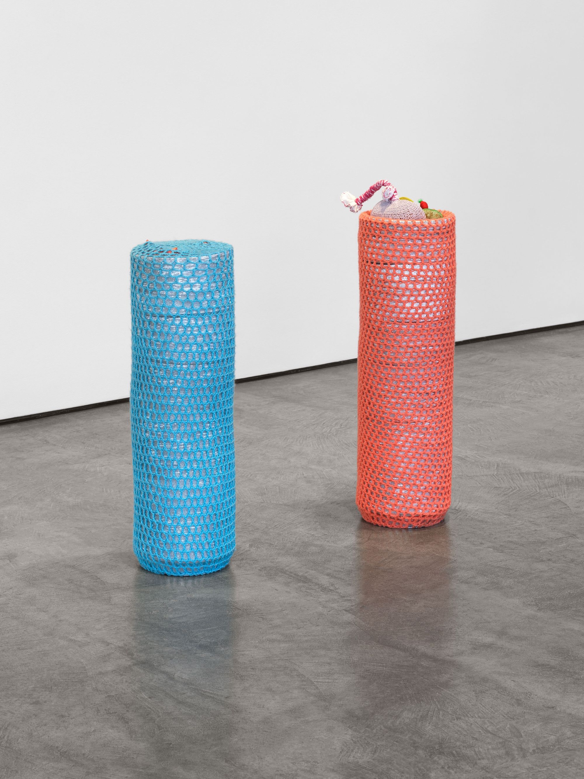 Veronica Ryan, Retrieval at Paula Cooper, photo 10