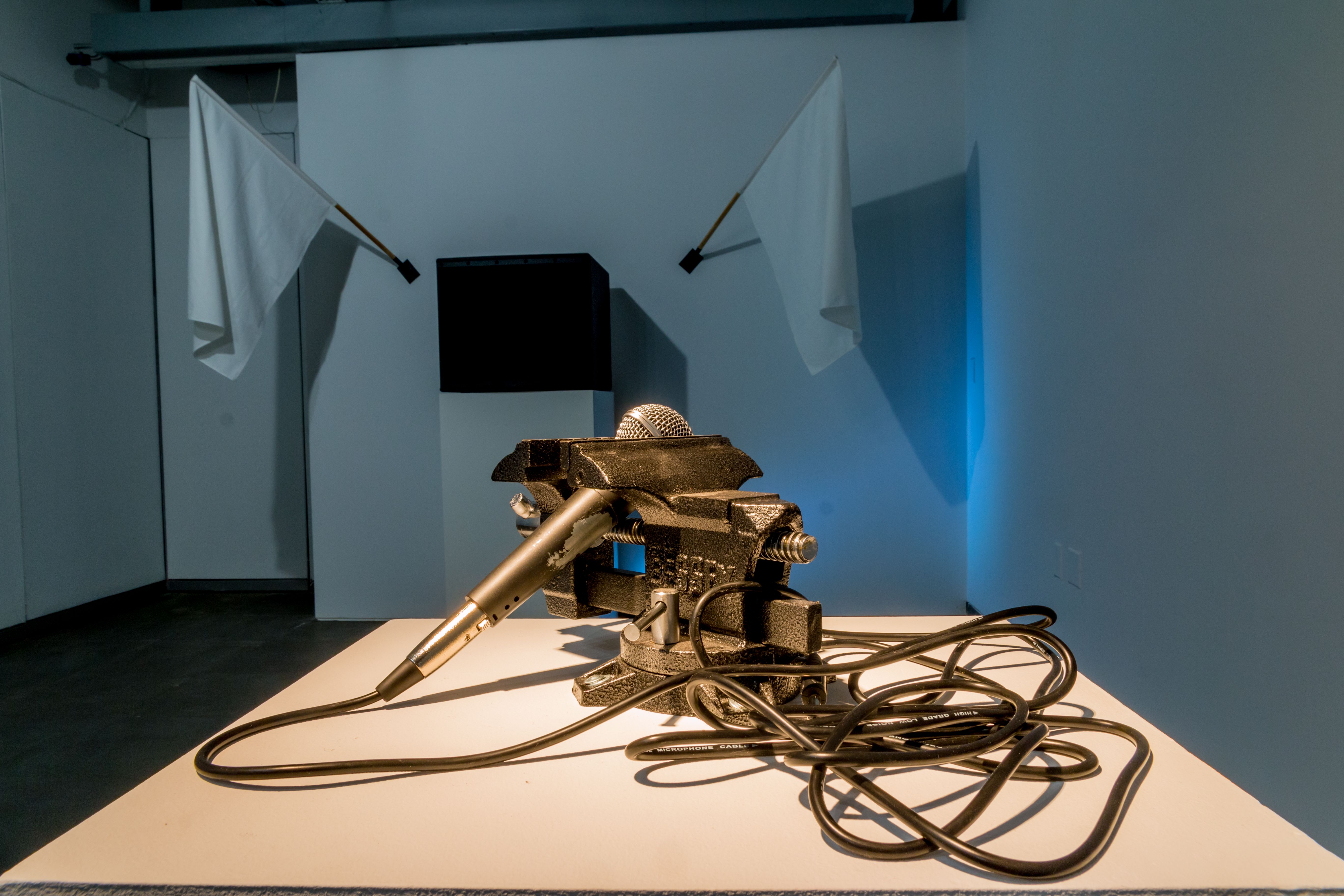 Karl Salzmann, Monopulism at Austrian Cultural Forum, photo 3