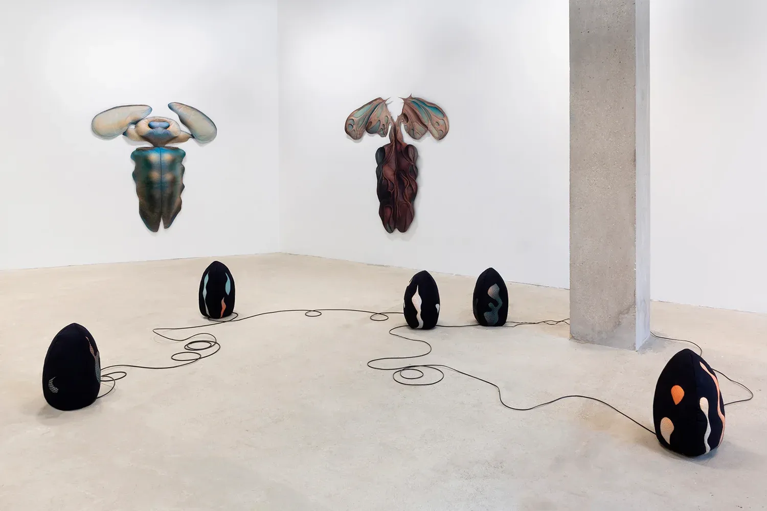 Caroline Delieutraz, Bleen at 22,48 m², photo 3