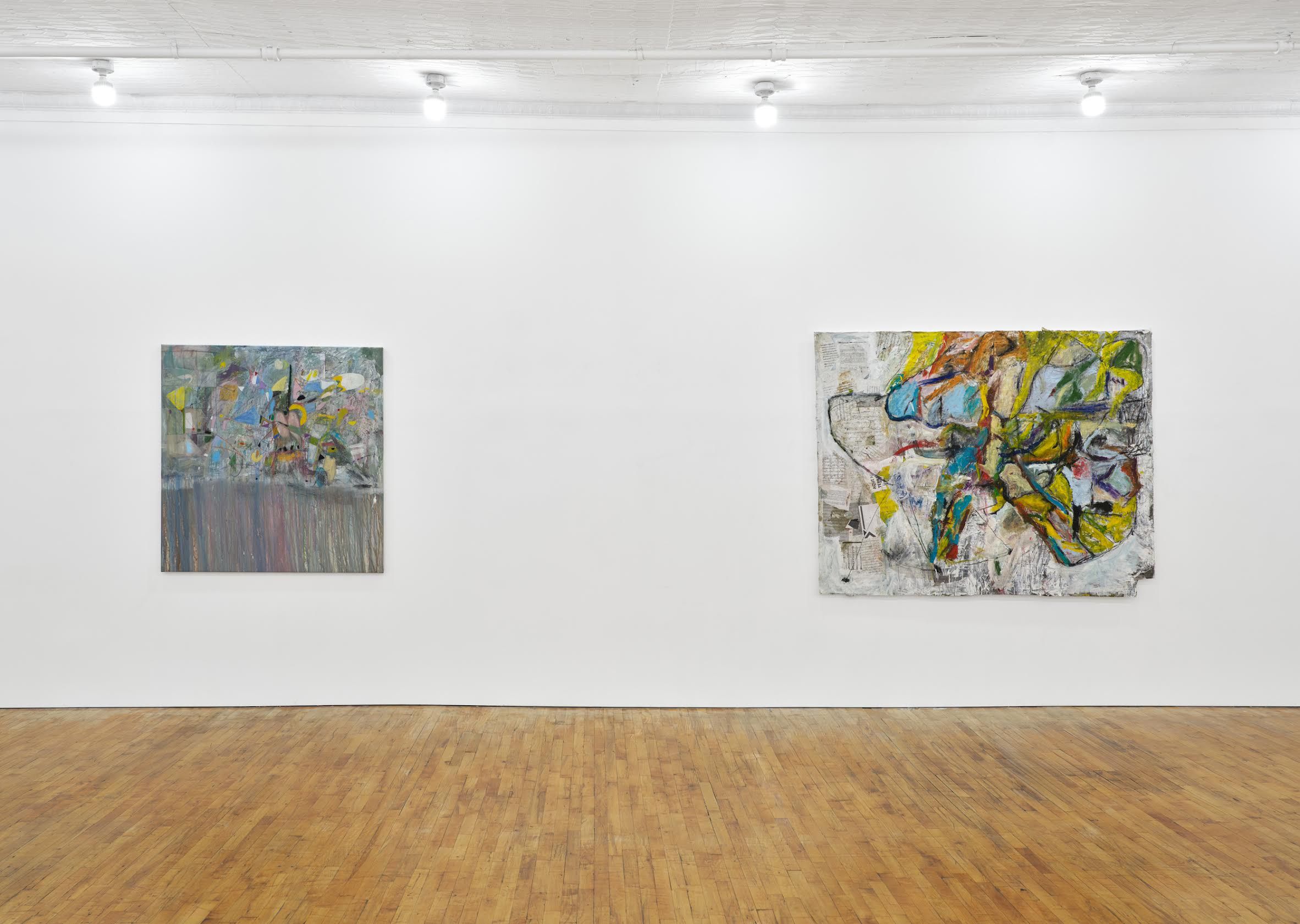 Lu Ferreira, Tropical Nada at Tara Downs, photo 3