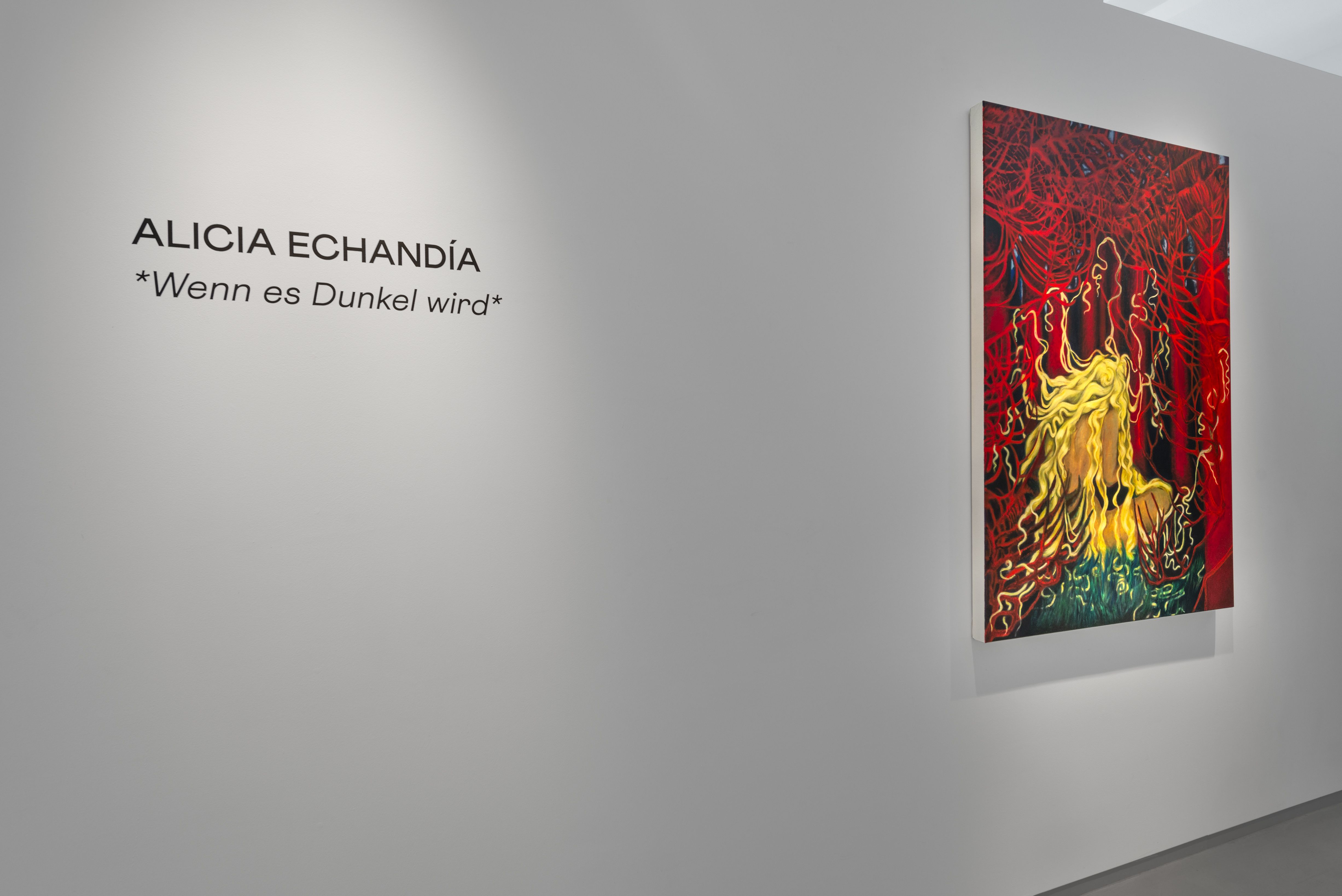 Alicia Echandía, When It Gets Dark at Duve, photo 8