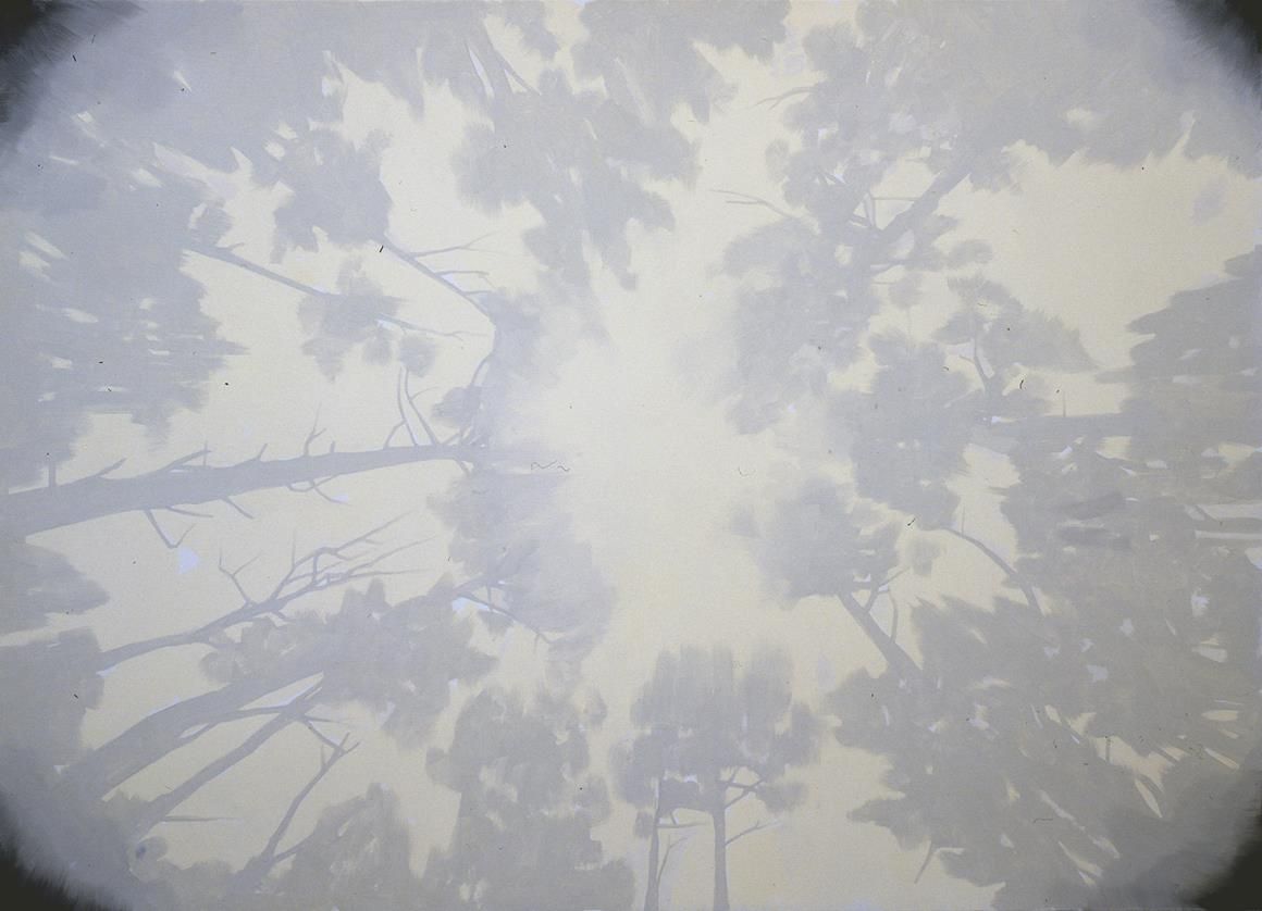 A Landscape, A Landscape at Wilkinson, photo 2