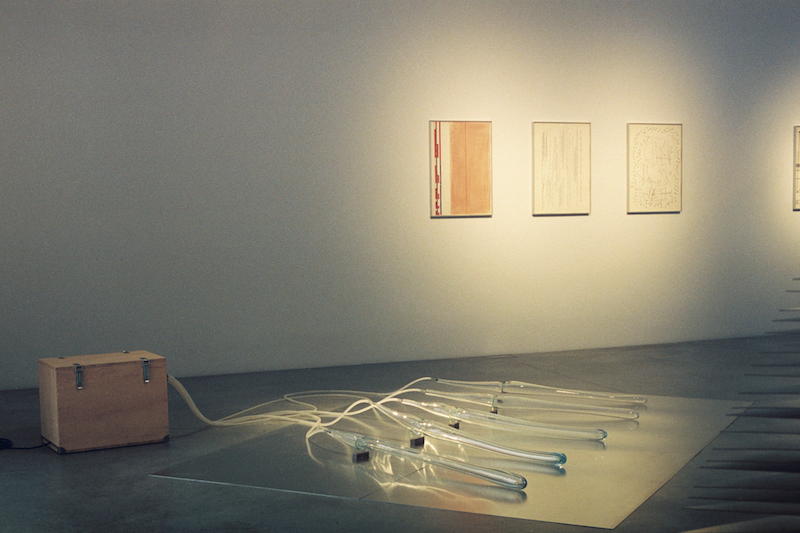 Siren (Some Poetics), Siren (Some Poetics) at Amant, photo 3