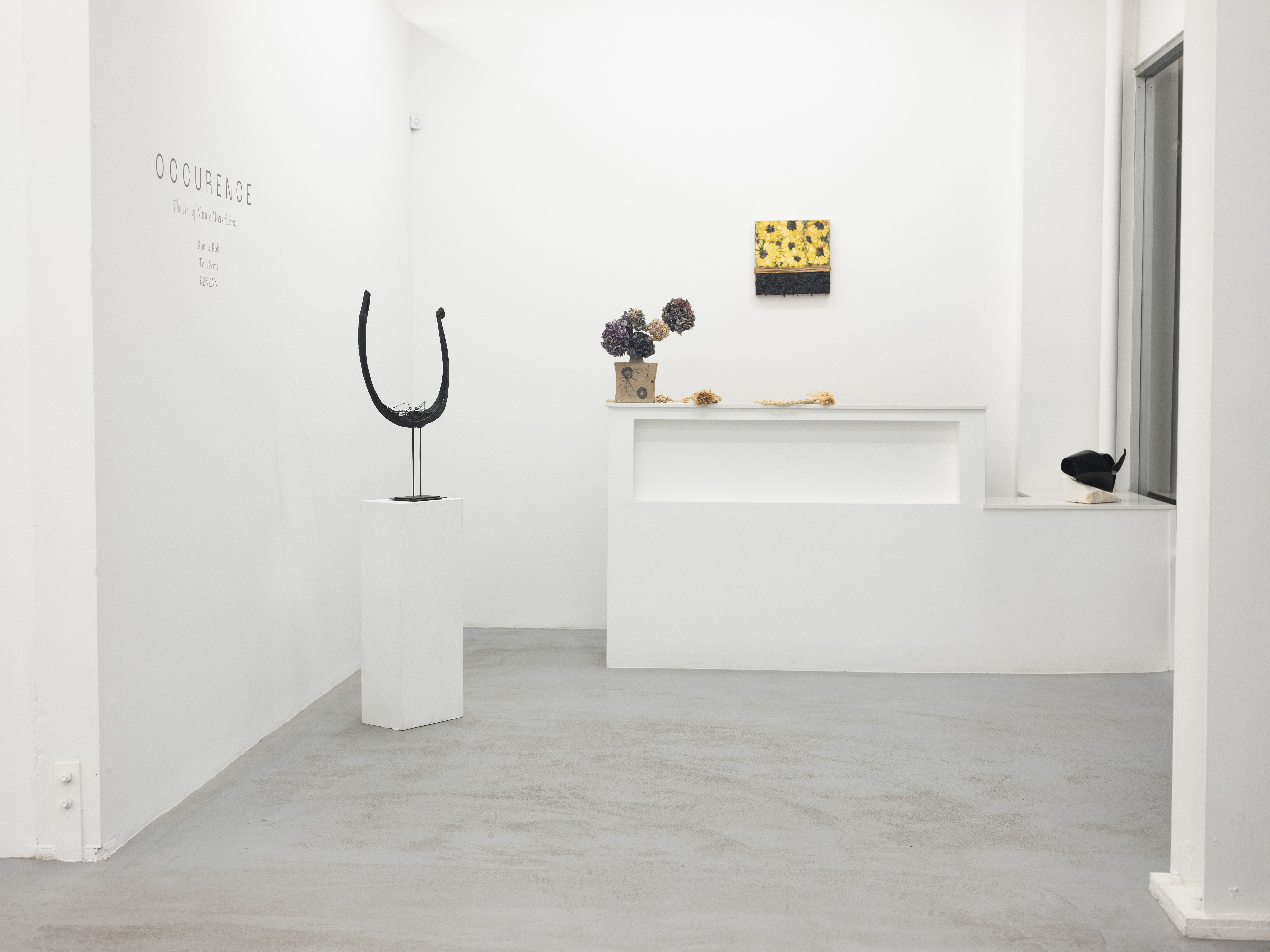 Occurrence: The Art of Nature Meets Science, Occurrence: The Art of Nature Meets Science at Rele, photo 18