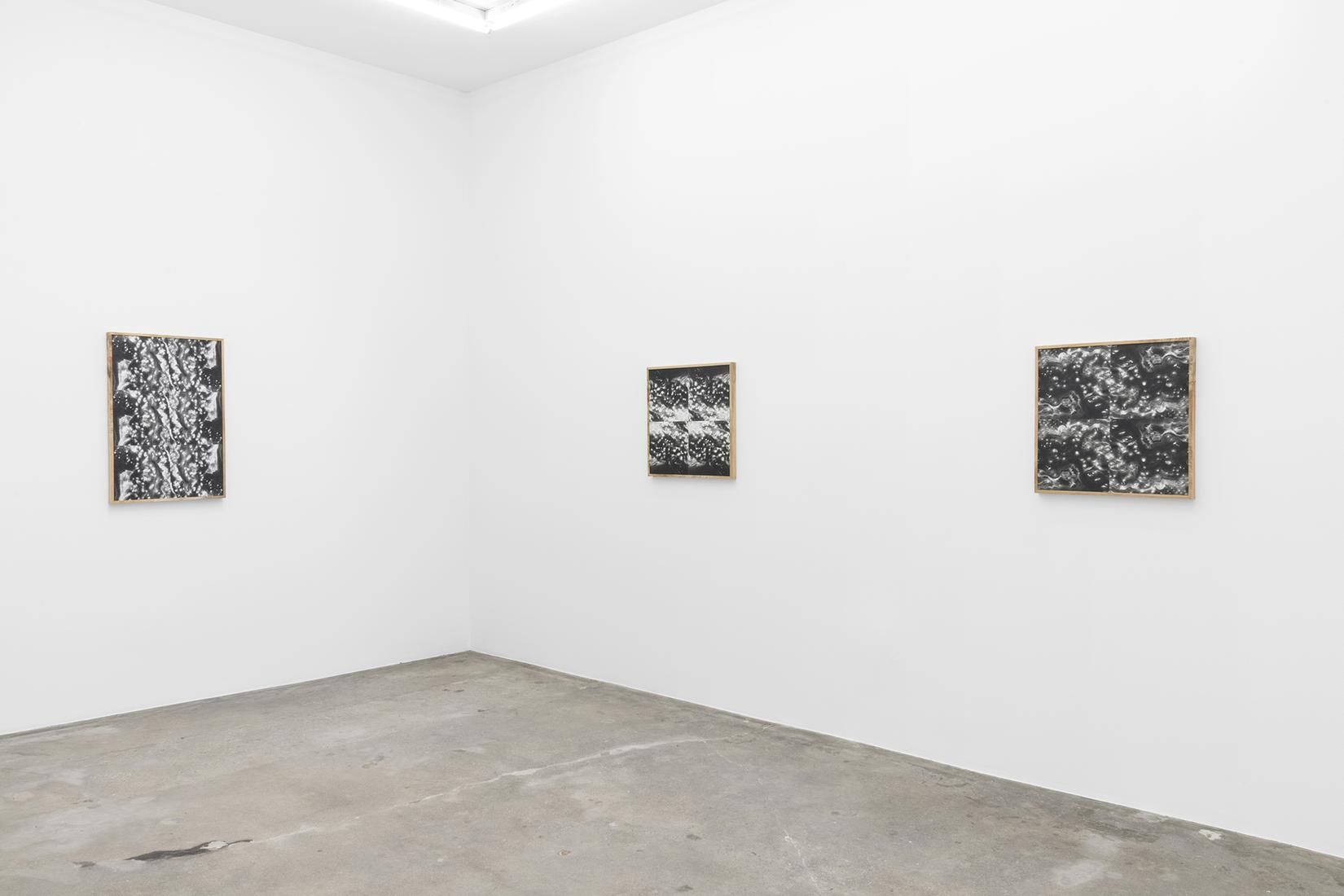 Lisa Oppenheim, The Eternal Substitute at Tanya Bonakdar, photo 5