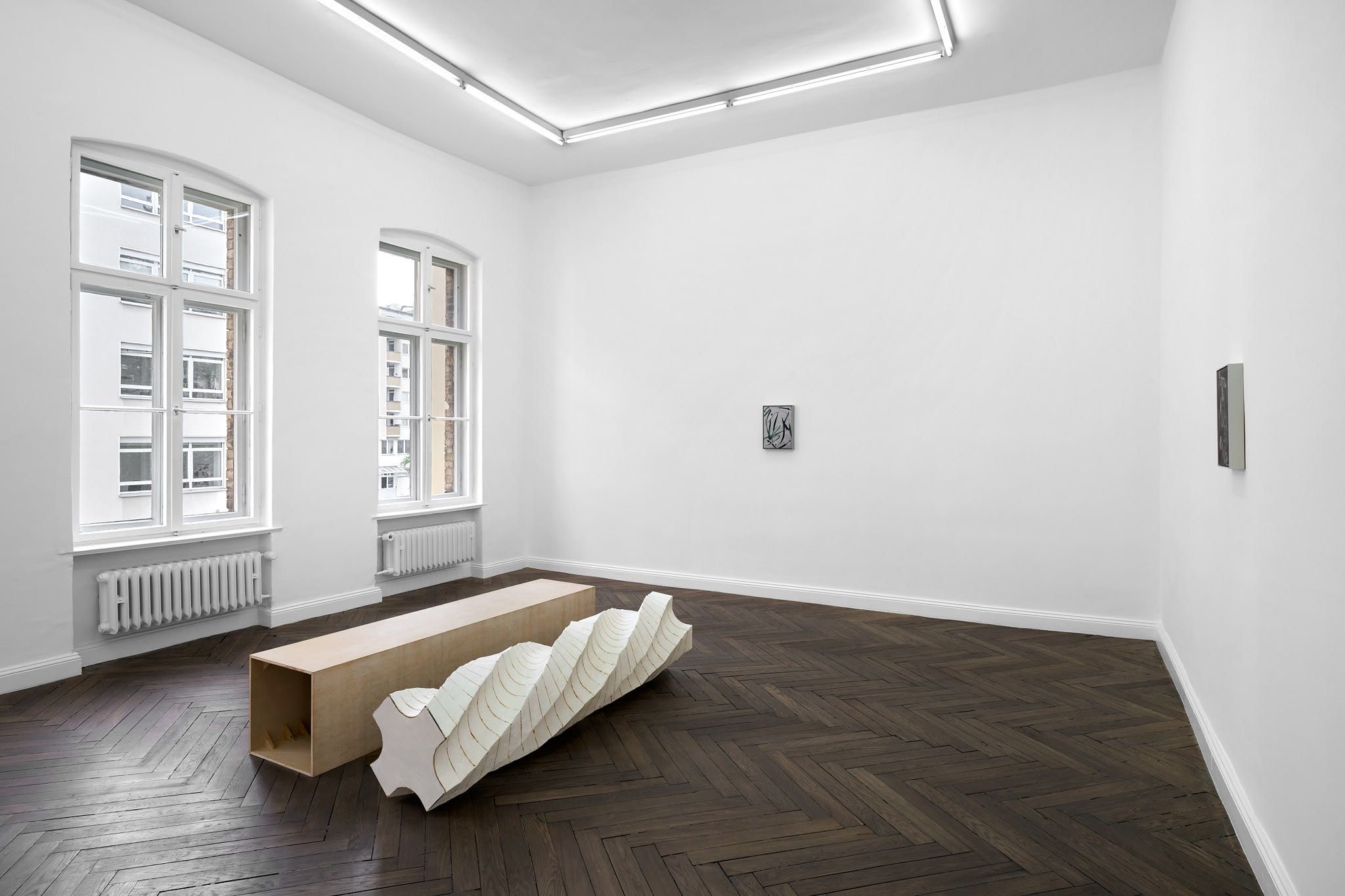 Leunora Salihu & Albrecht Schnider, A Plant. A Person. A Life. at Thomas Schulte, photo 3