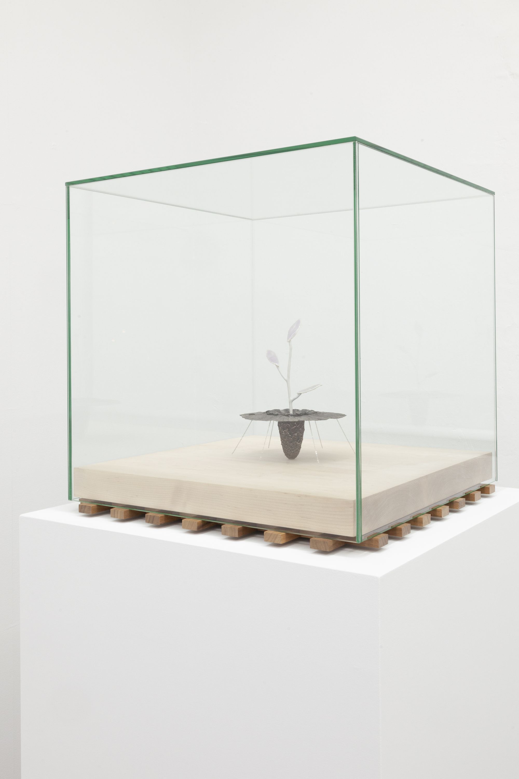Anders Hamilton, image 19 of 32