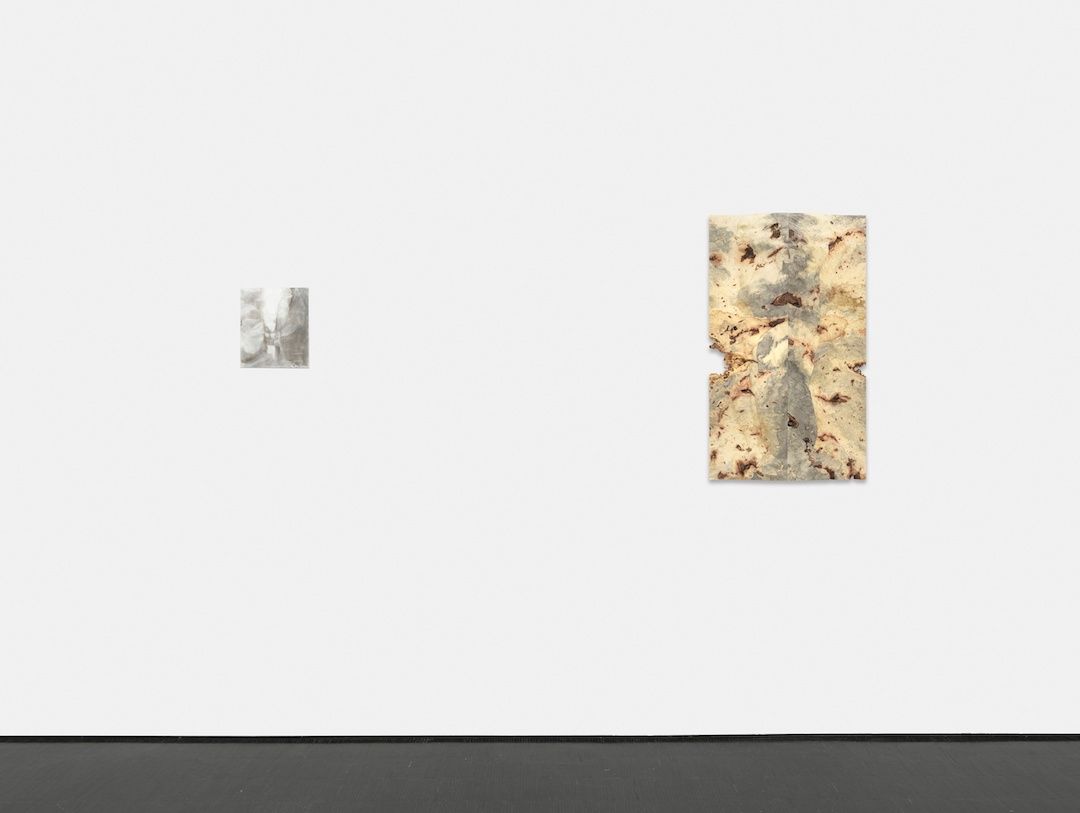 Beaux Mendes, Black Forest at Barbara Weiss, photo 10