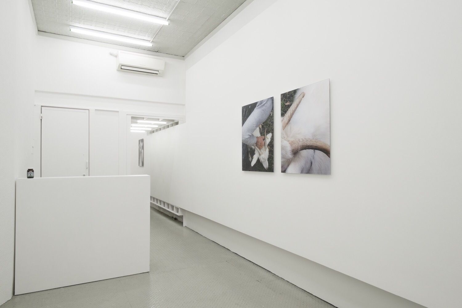 Anna-Sophie Berger, Growing Horns at Ludlow 38, photo 2