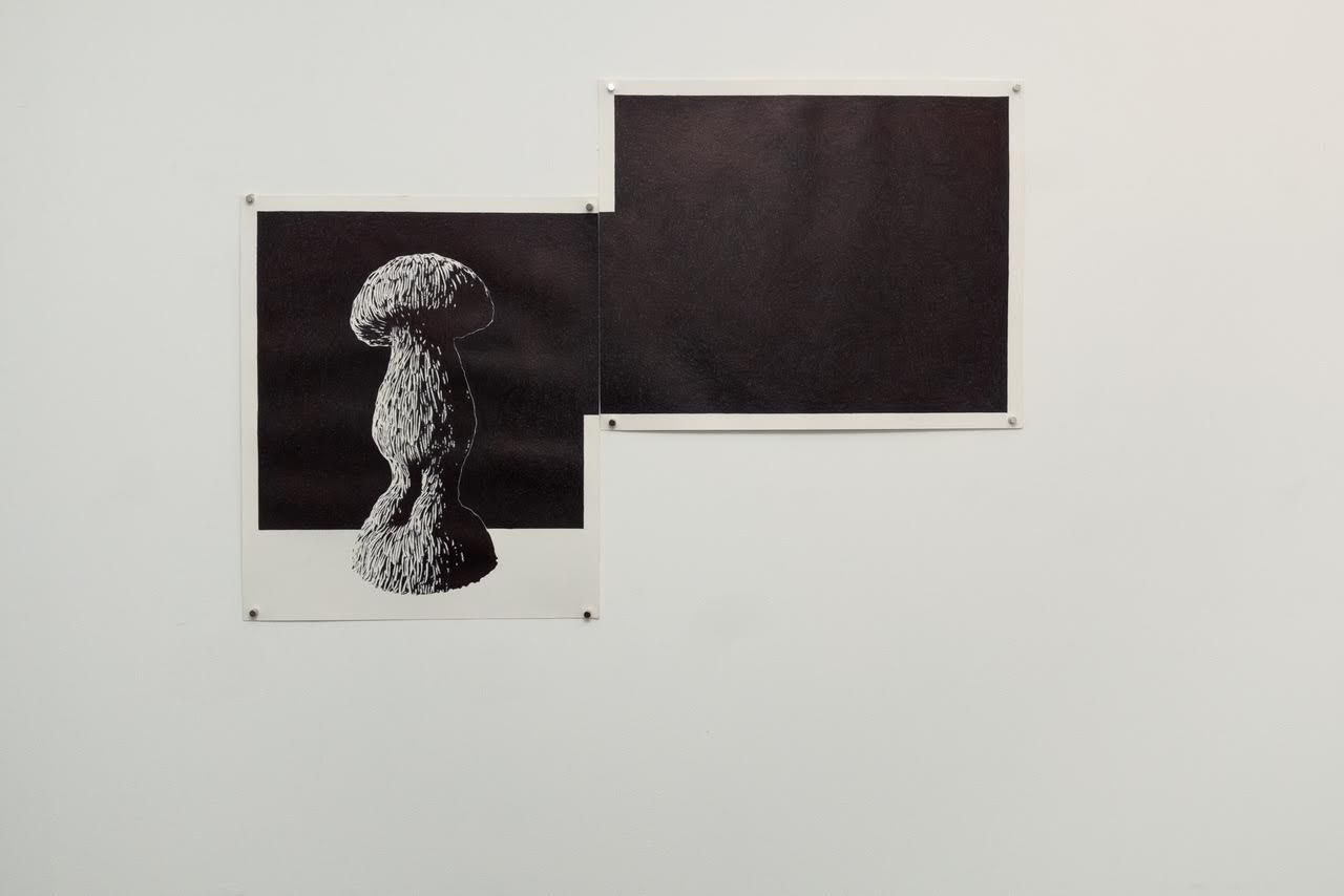 Carl D'Alvia, Paper Trail at Dashwood Projects, photo 3