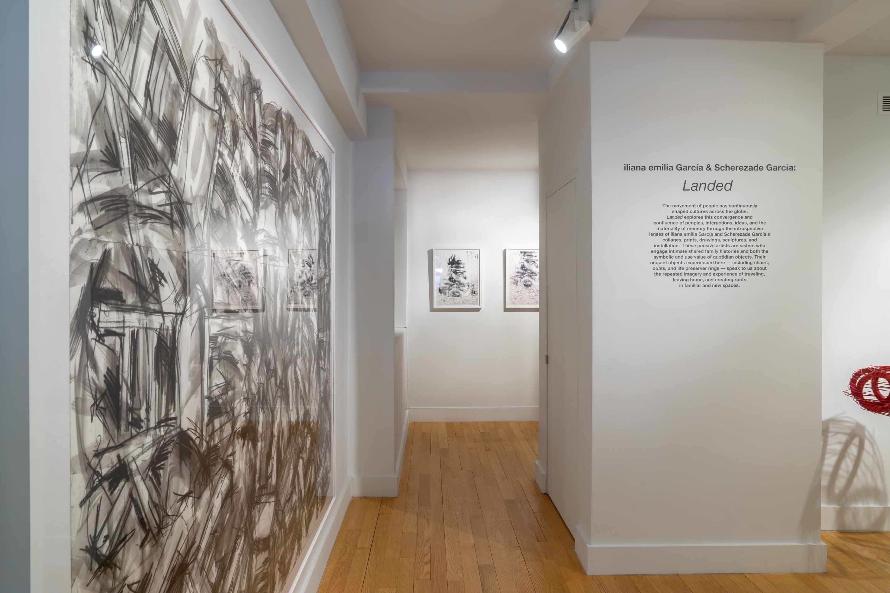 Iliana Emilia García & Scherezade García, Landed at Hutchinson Modern & Contemporary, photo 6