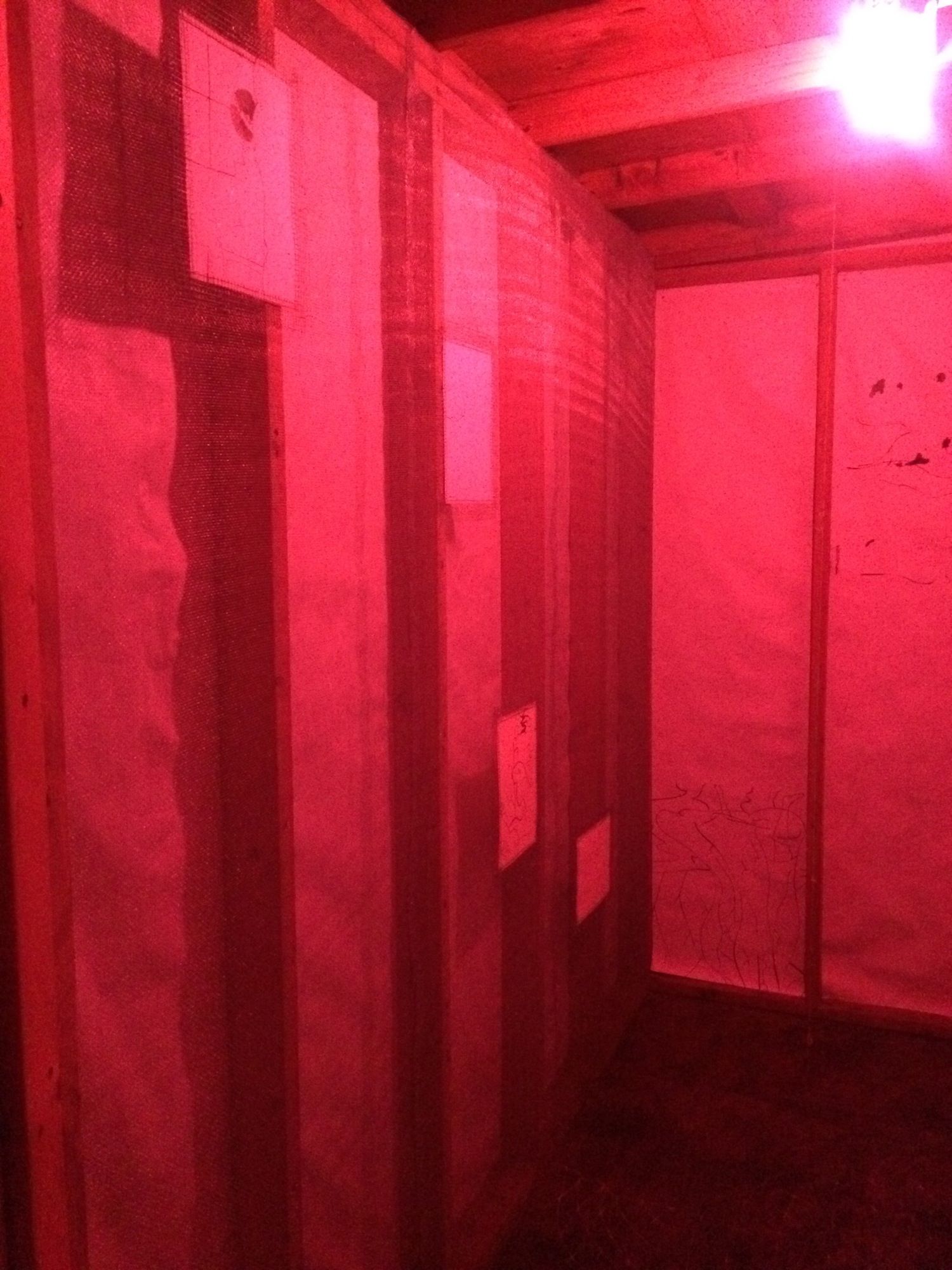 Hanna Hur & Michael Kennedy Costa, Trapdoor at 67 Steps, photo 3