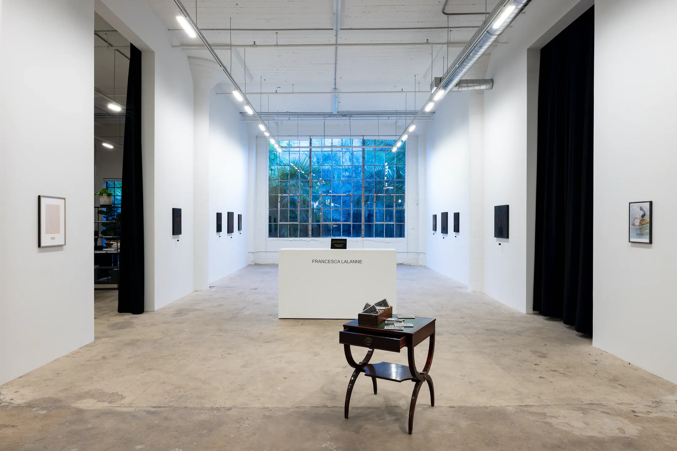 Kim Dingle, Pudgey Pomona Presents at Vielmetter, photo 10