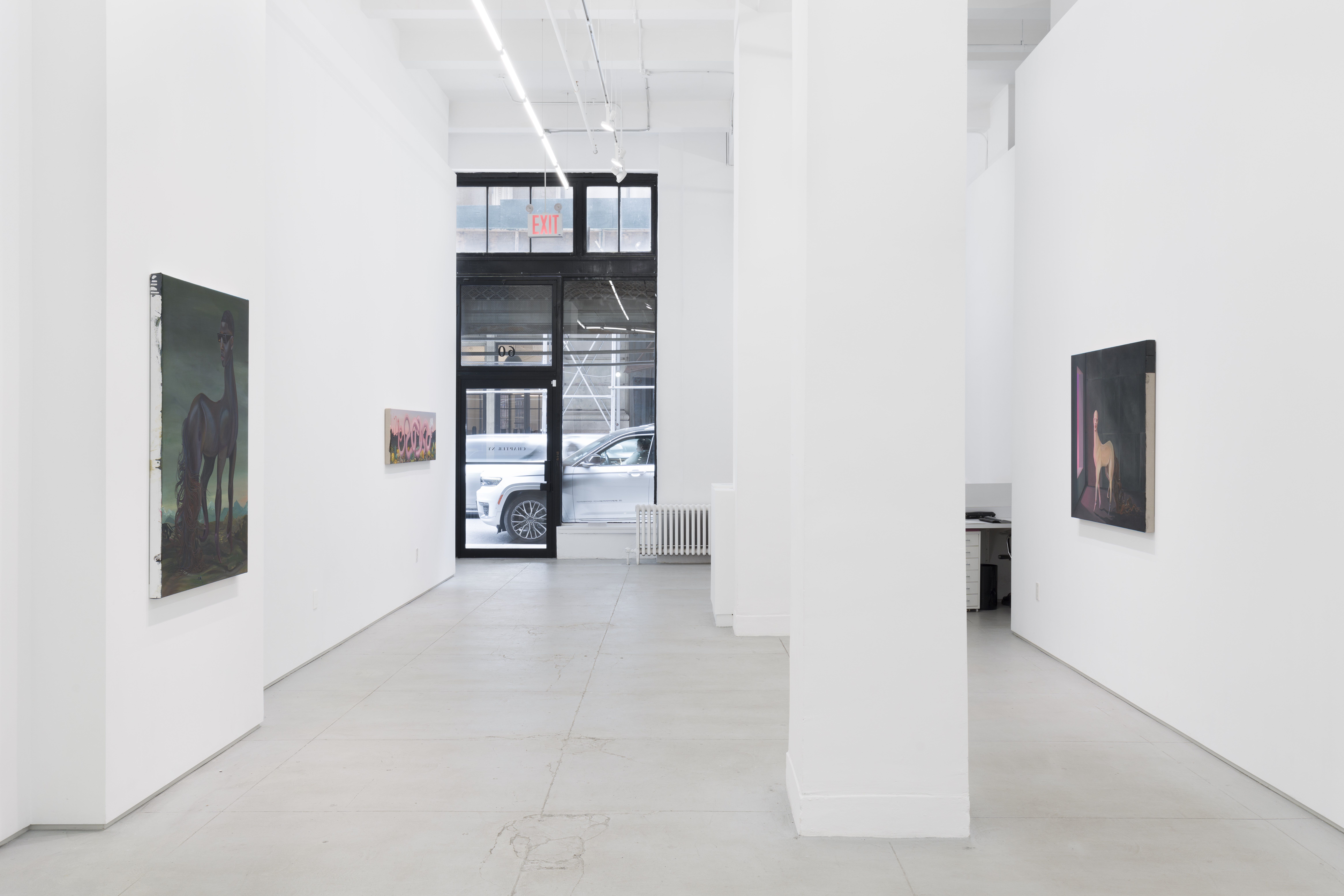 Installation view 5