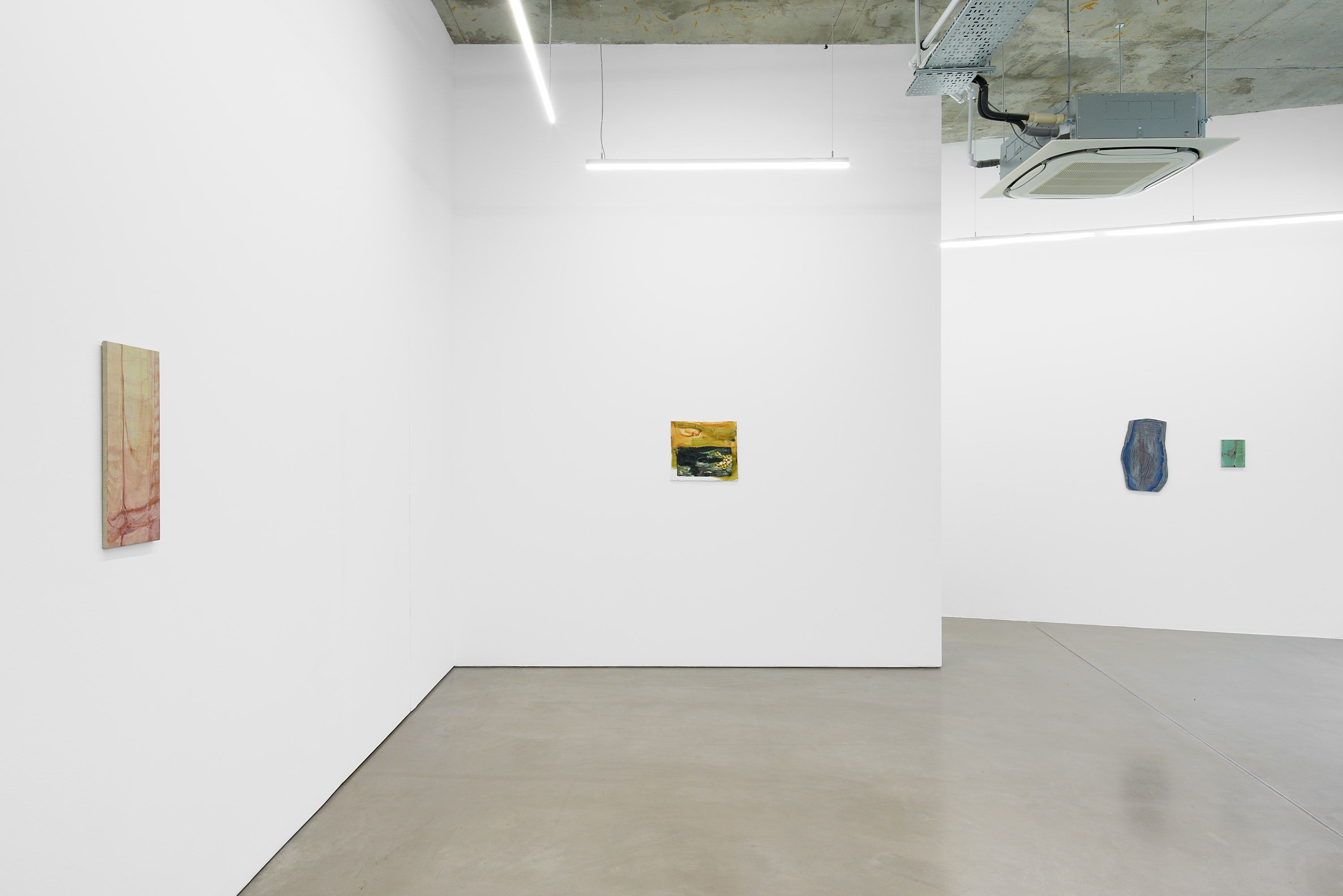 Vestige, Vestige at Project Native Informant, photo 2