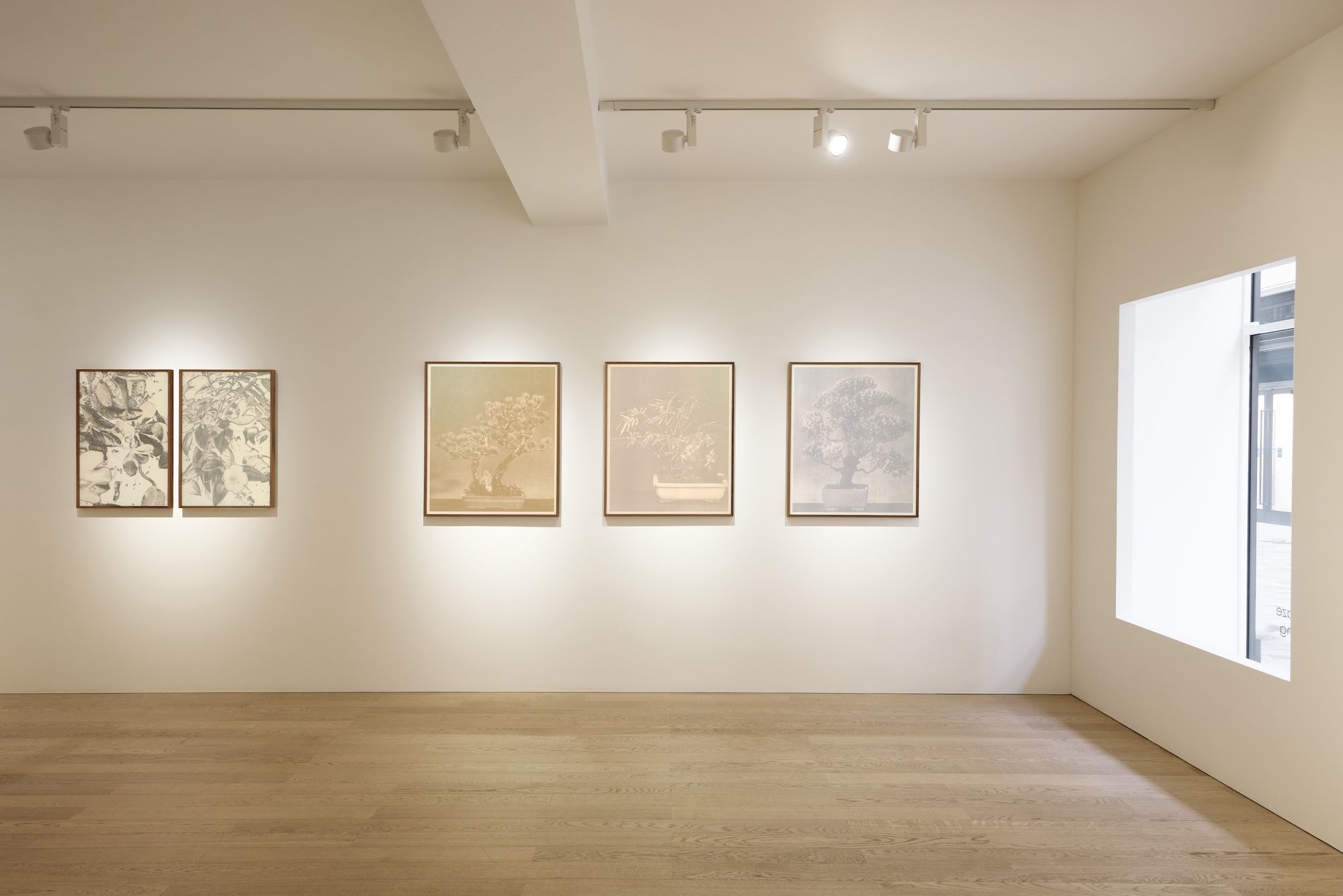 Xiaochi Dong & Feiyi Wen, The Garden and the Gaze at Albion Jeune, photo 12