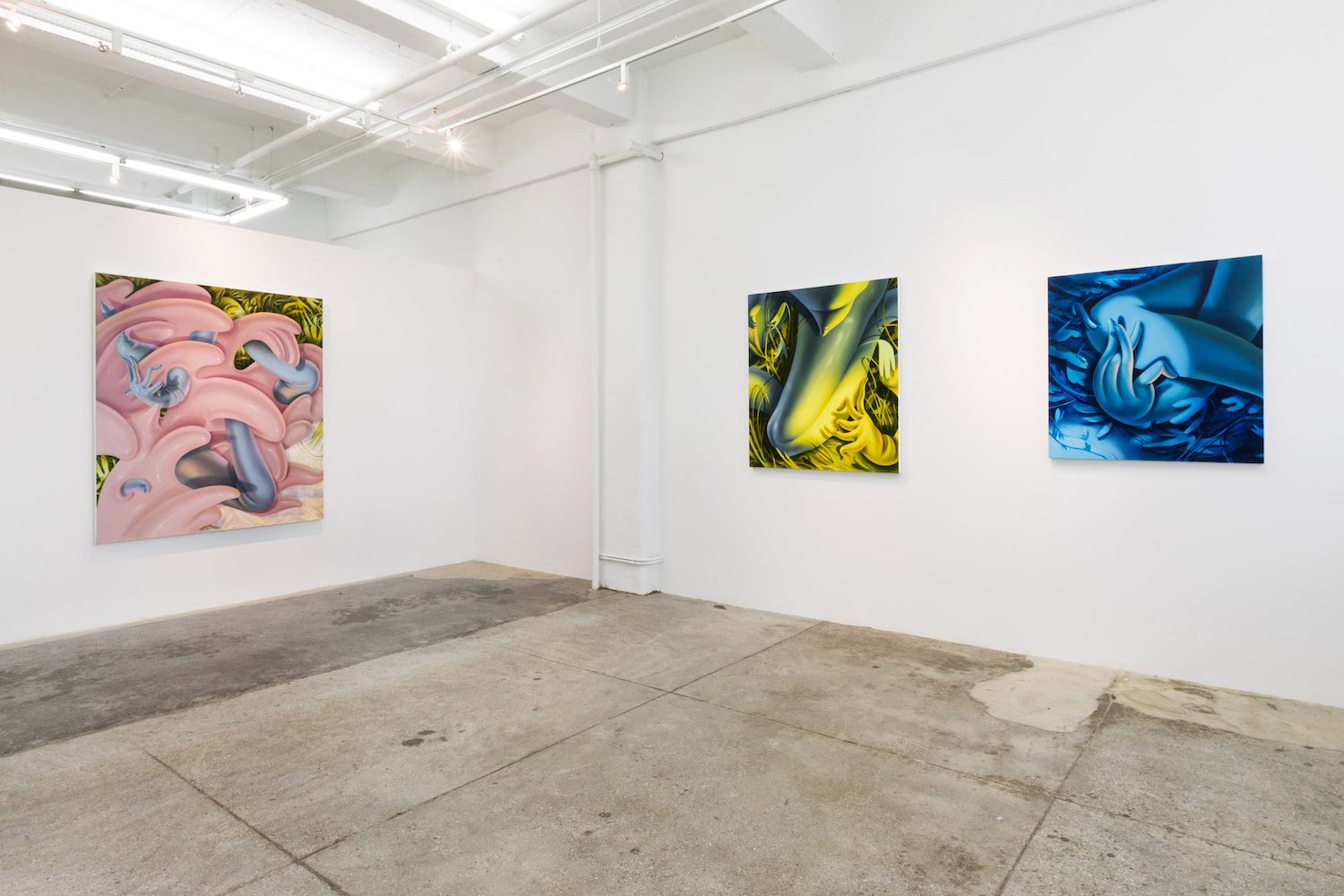Sarah Slappey, Night Feeding at Crush Curatorial, photo 5
