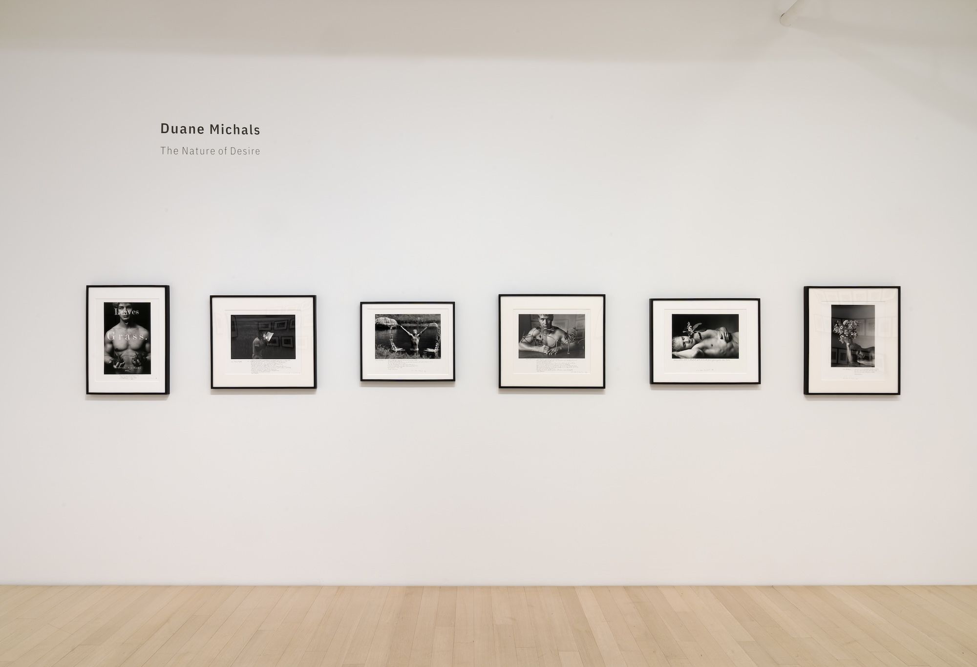 Duane Michals, The Nature of Desire at DC Moore, photo 6