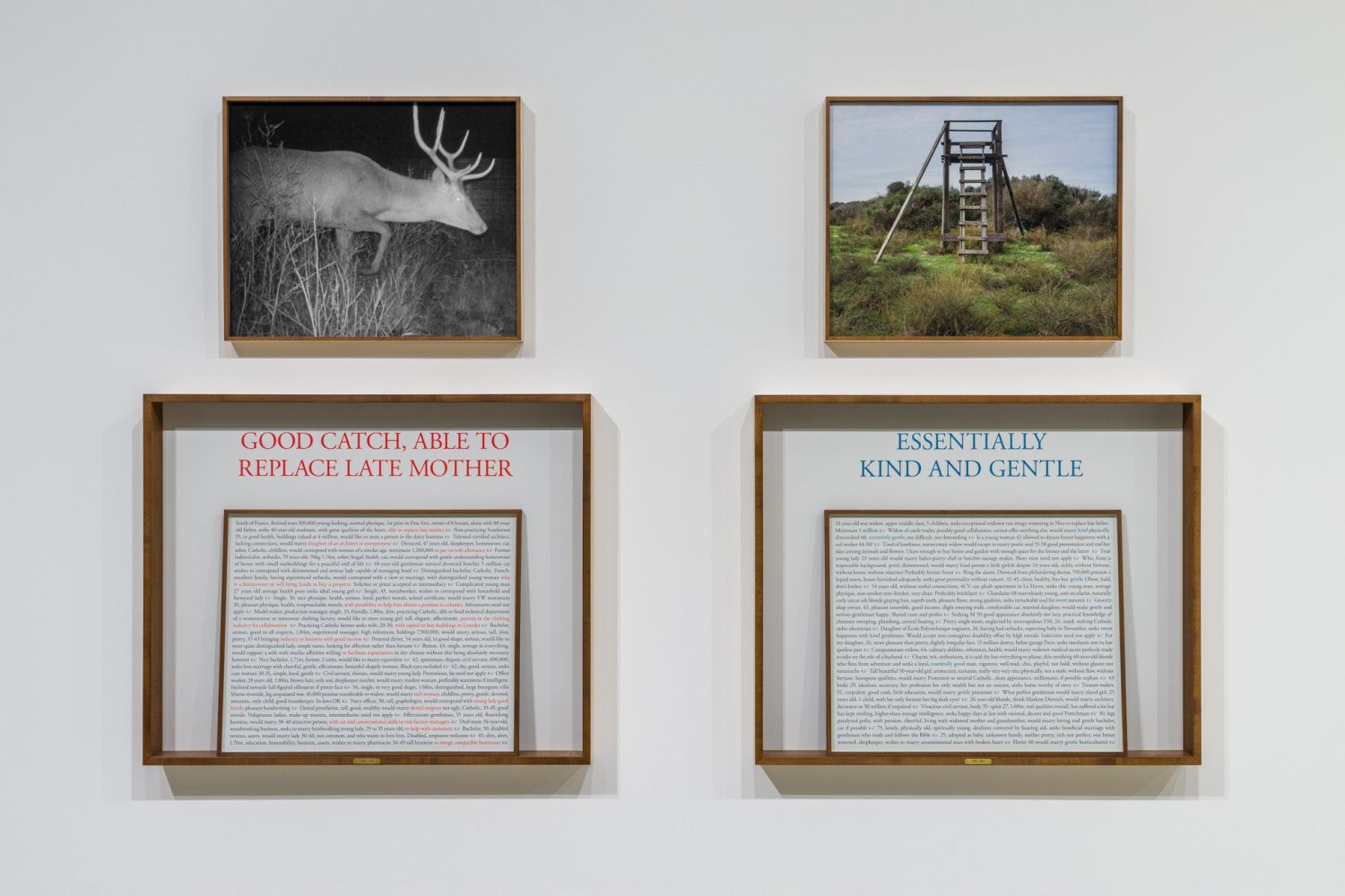 Sophie Calle, On the Hunt at Paula Cooper, photo 2