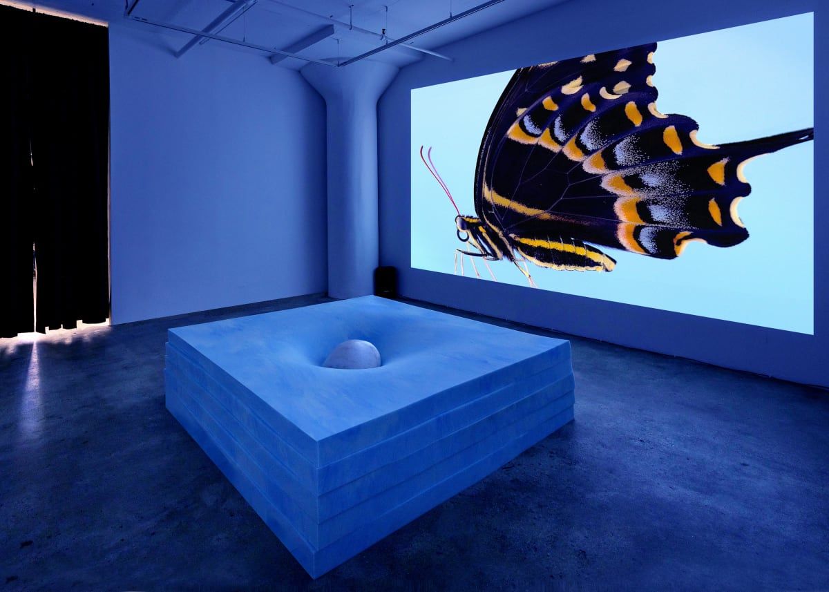Virginia Lee Montgomery, Dream Cocoon at Hesse Flatow, photo 5