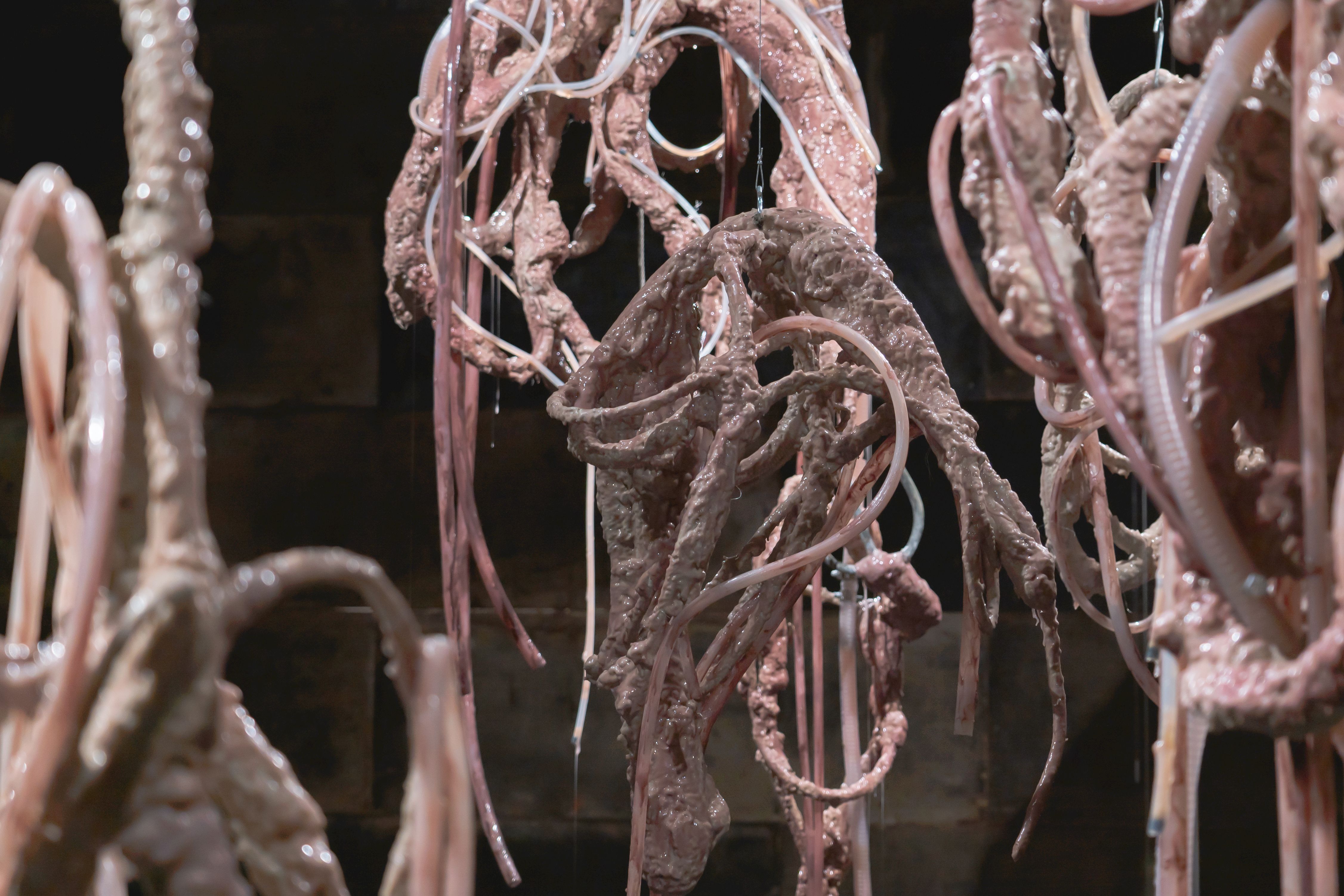 Mire Lee, Carriers at Tina Kim, photo 4
