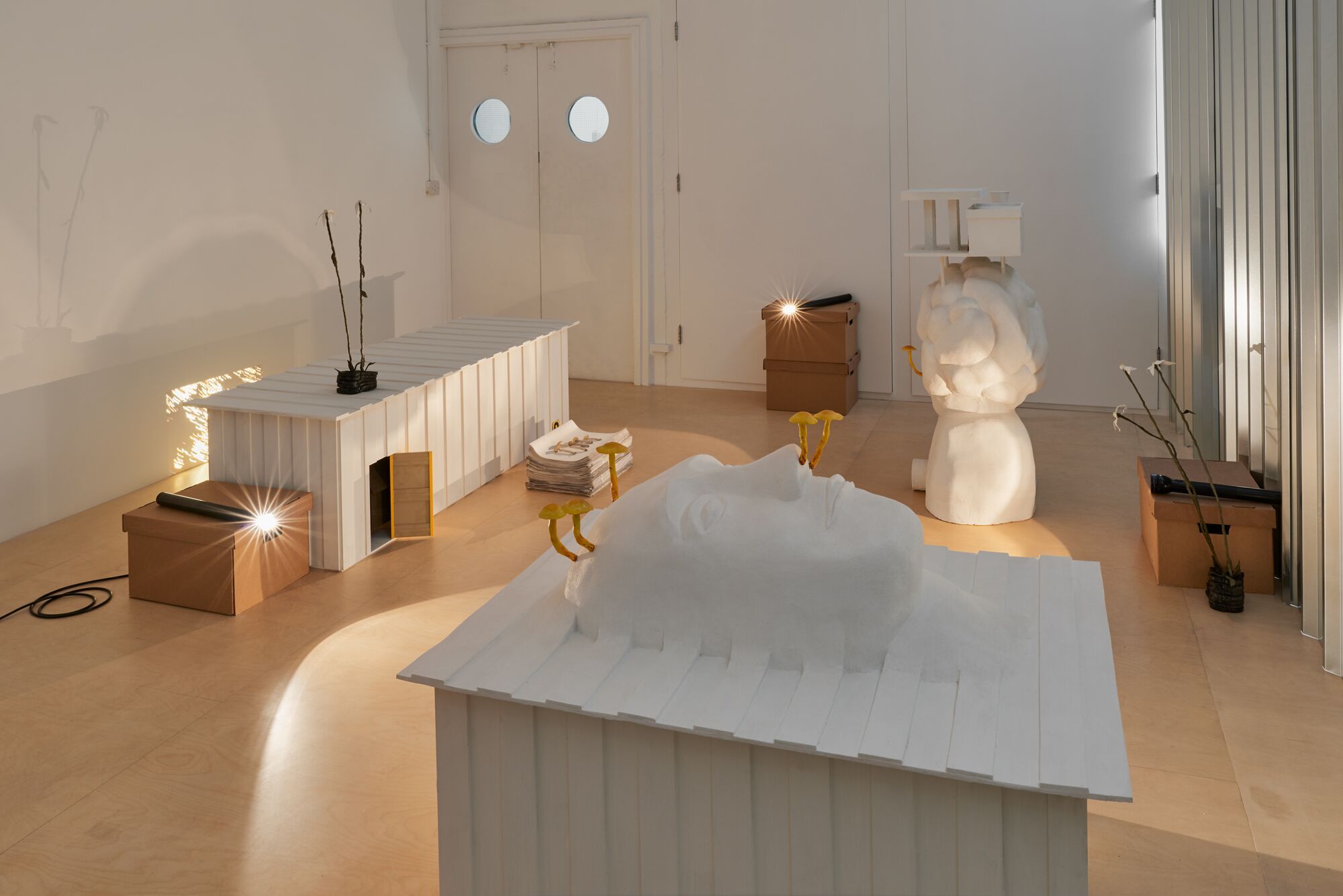 Hamish Pearch, Nights at Soft Opening, photo 2