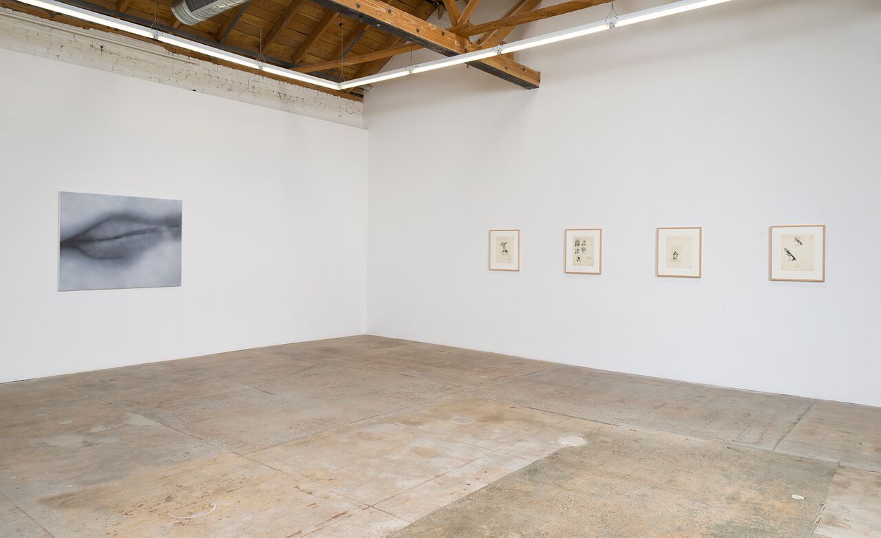 Betty Tompkins, Sex Works / Women Words, Phrases, and Stories at Gavlak, photo 7