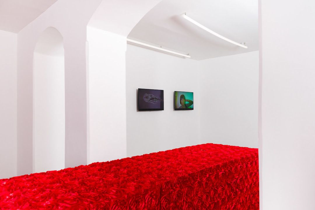 Puppies Puppies (Jade Guanaro Kuriki-Olivo), Trigger Warning at Balice Hertling, photo 4