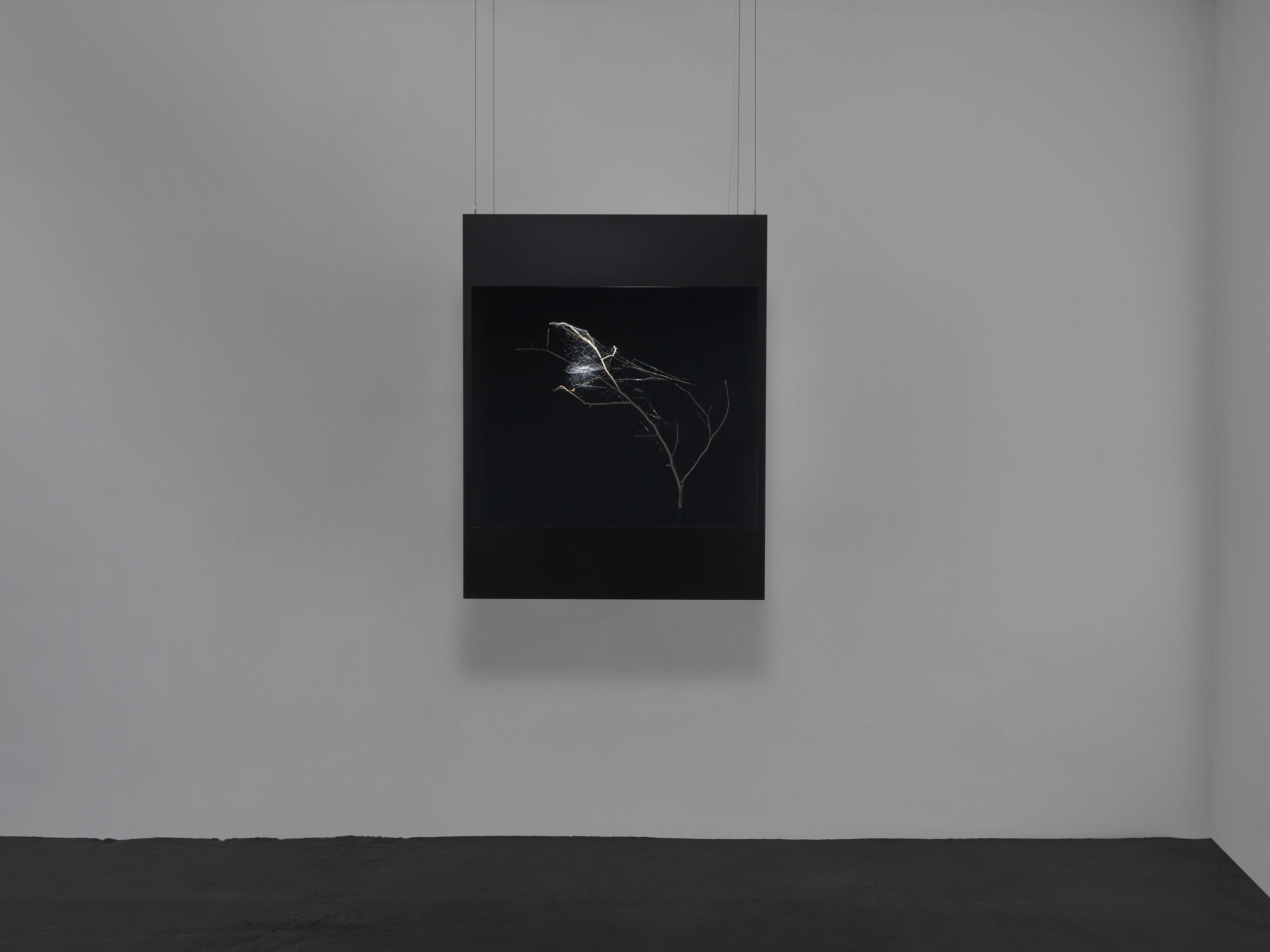 Tomás Saraceno, Tomás Saraceno at Neugerriemschneider, photo 5