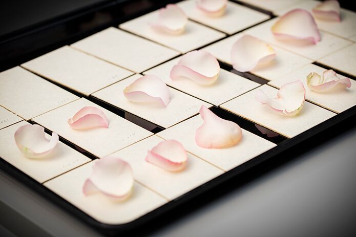 Sarah Meyohas, Cloud of Petals at Pact, photo 2