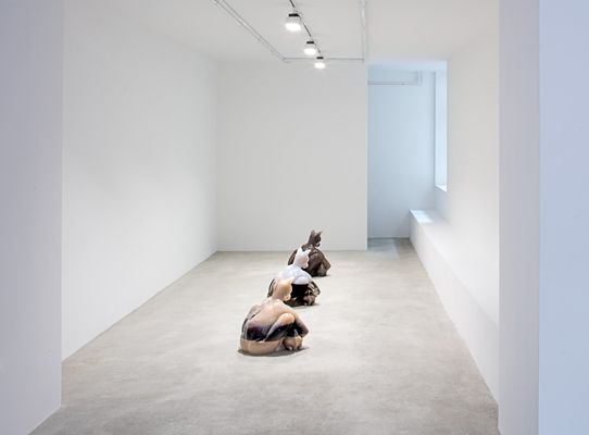 Oliver Laric, Year of the Dog at Tanya Leighton, photo 3