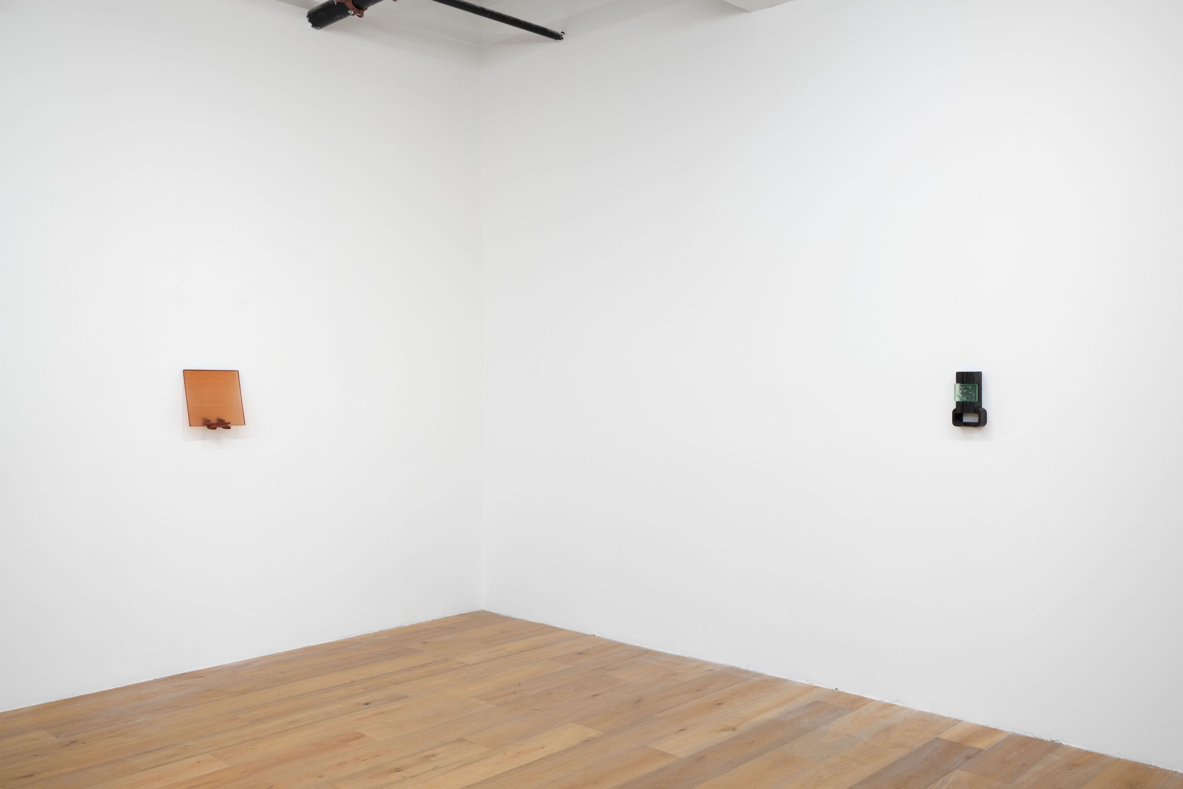 Sula Bermudez-Silverman, Mole, Mold, Molt at Hannah Hoffman, photo 9
