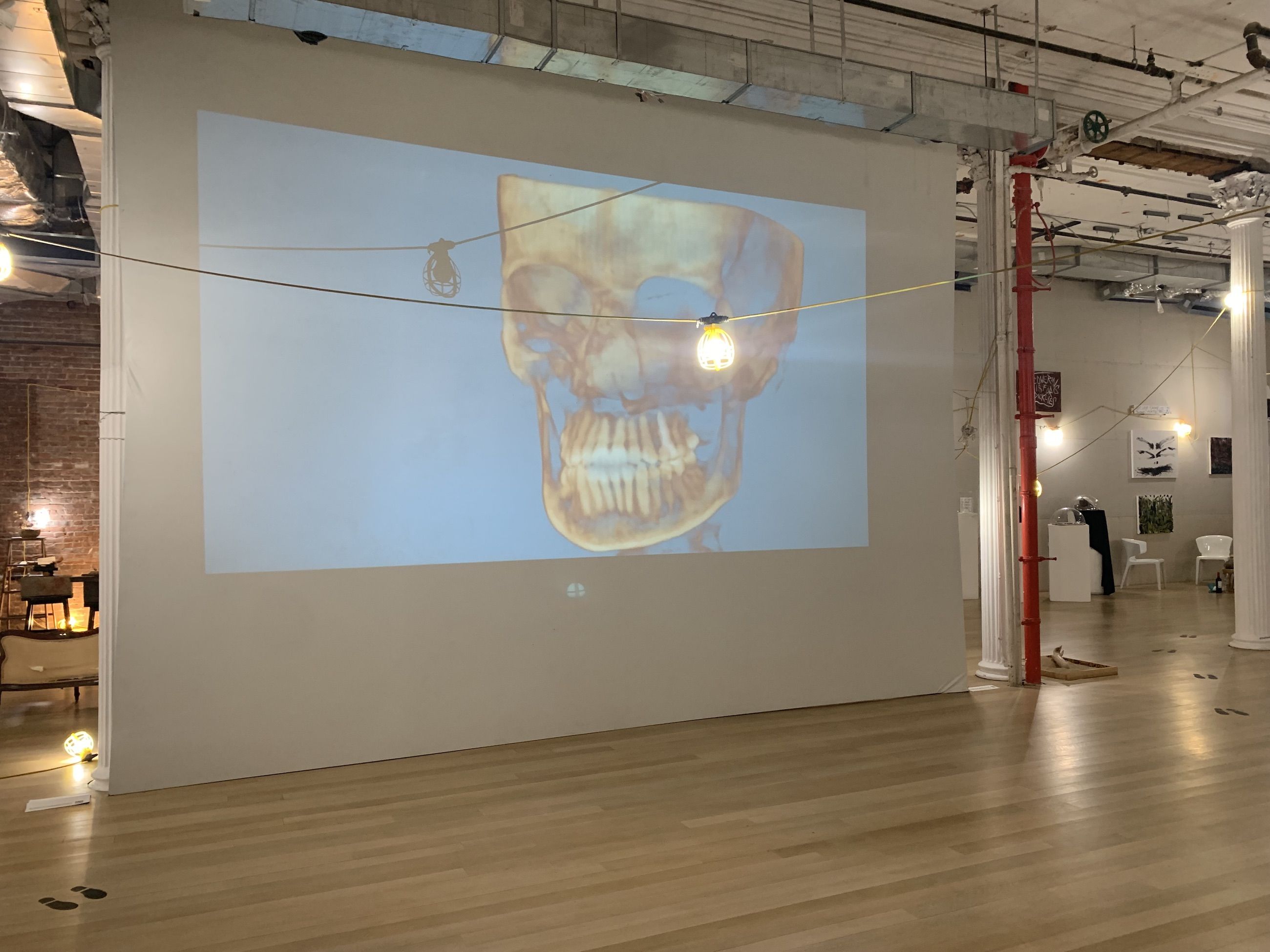 Jennifer Elster, image 12 of 12