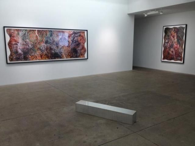 Dinh Q. Lê, Warf, Woof, Zero, One at P.P.O.W, photo 2