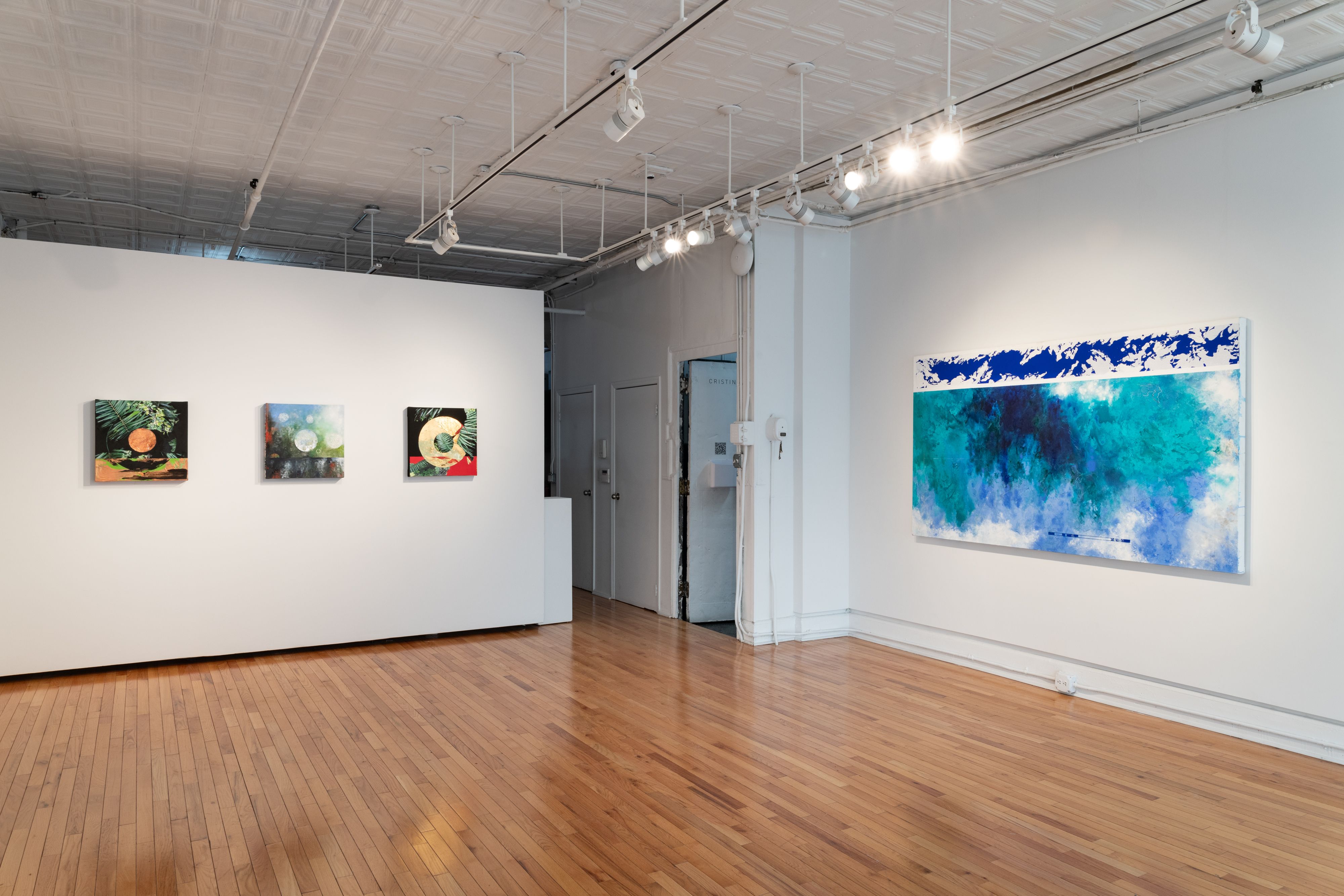 Diane Burko, Bearing Witness at Cristin Tierney, photo 4