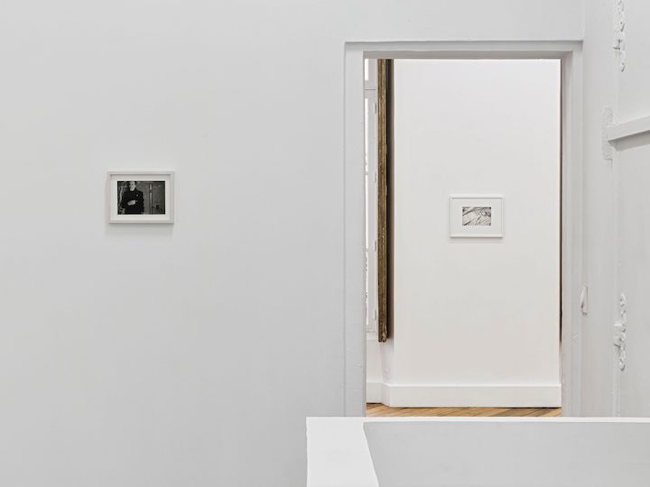 Hervé Guibert & David Wojnarowicz, For an Early Death at Fitzpatrick Gallery, photo 9