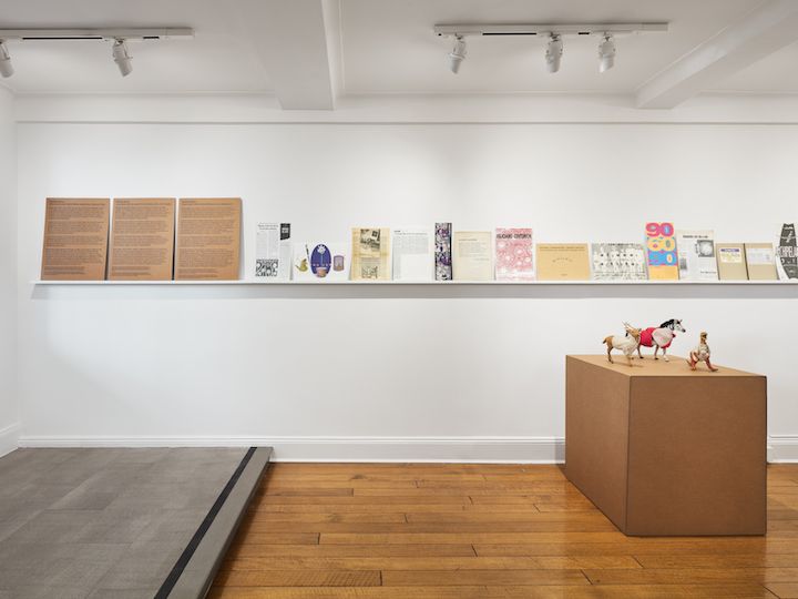 Ñande Róga, The Feliciano Centurión Archival Collection at Institute for Studies on Latin American Art, photo 5