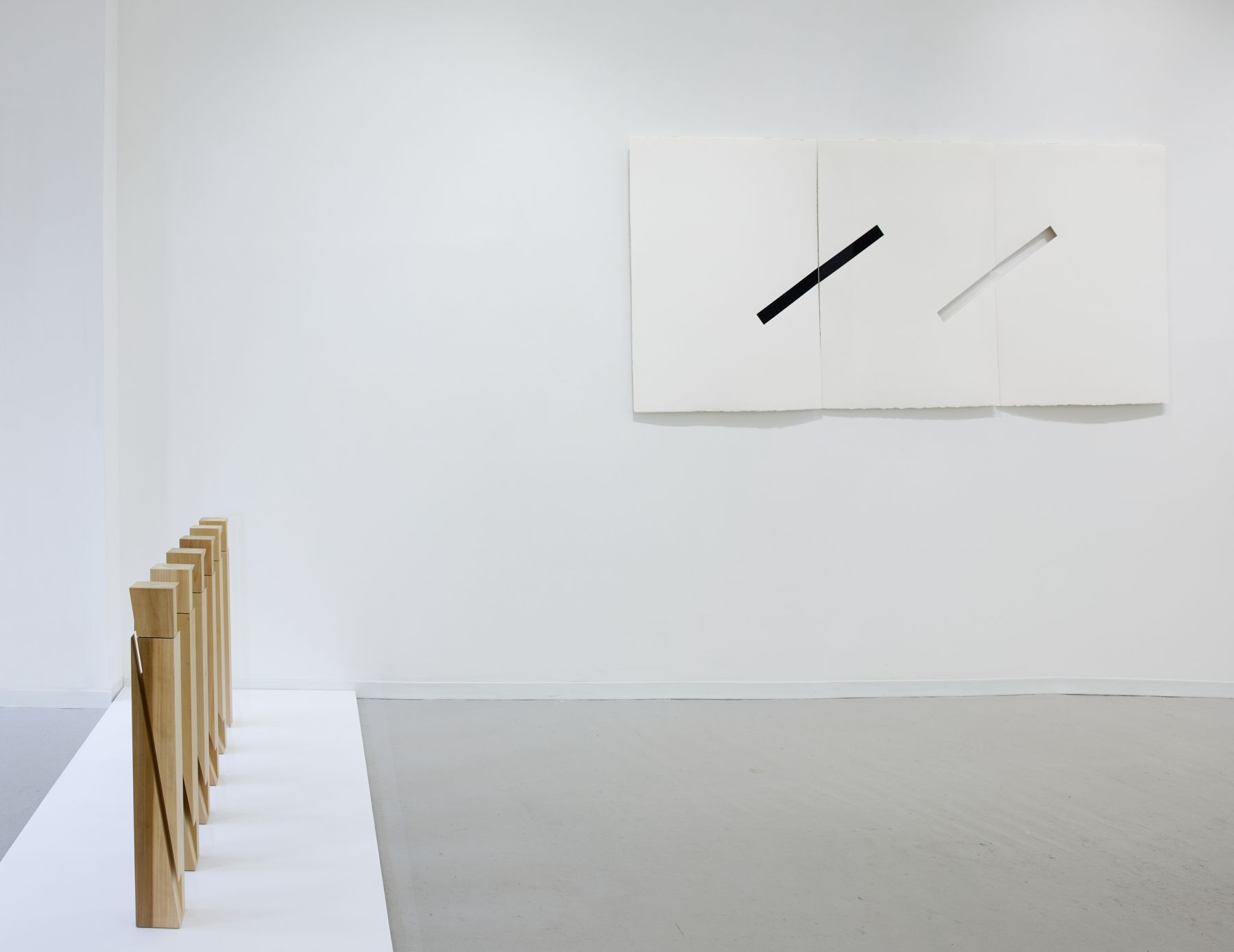 Roland Gebhardt, Diverse Vocabularies at David Richard Gallery, photo 19