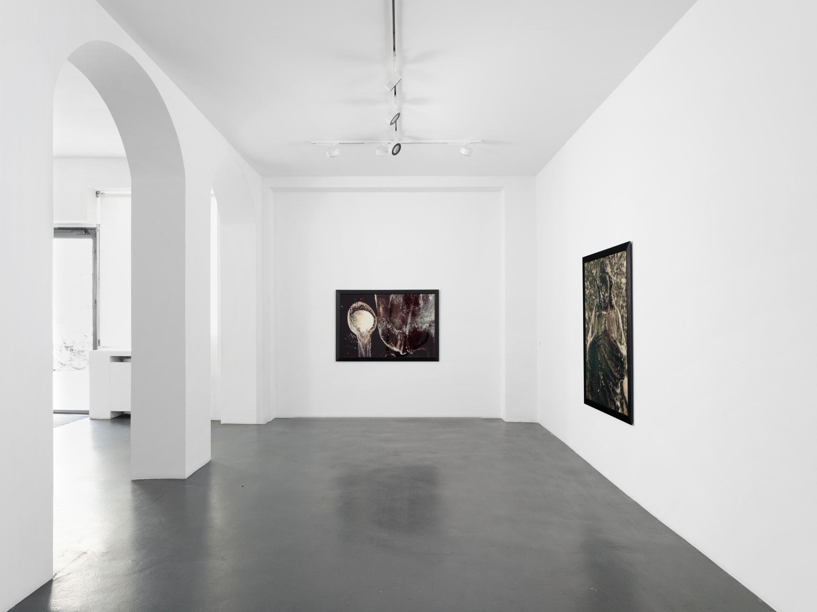 Andres Serrano, A Personal Mythology Immersions and Bodily Fluids at Nathalie Obadia, photo 2