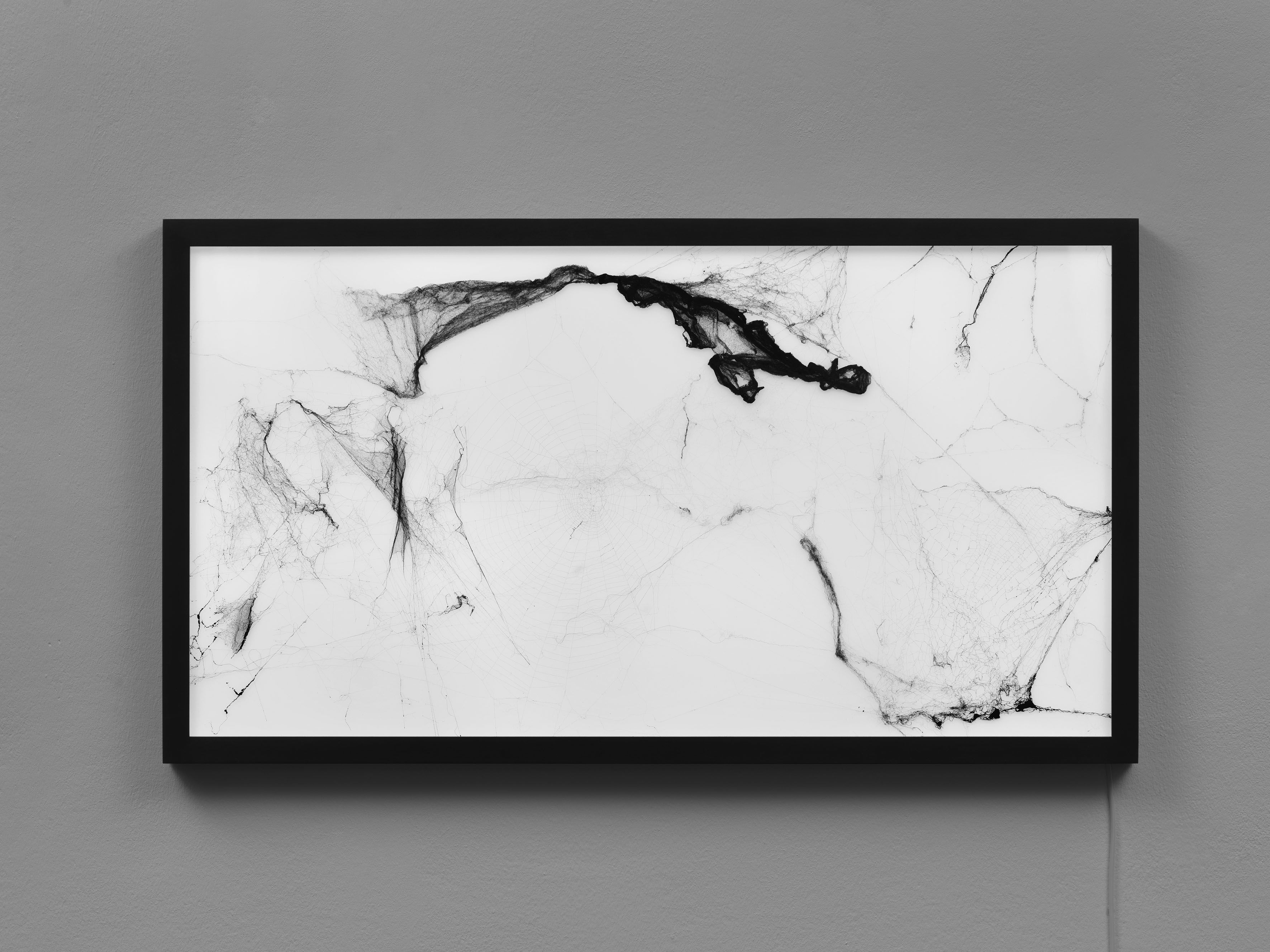 Tomás Saraceno, Tomás Saraceno at Neugerriemschneider, photo 6