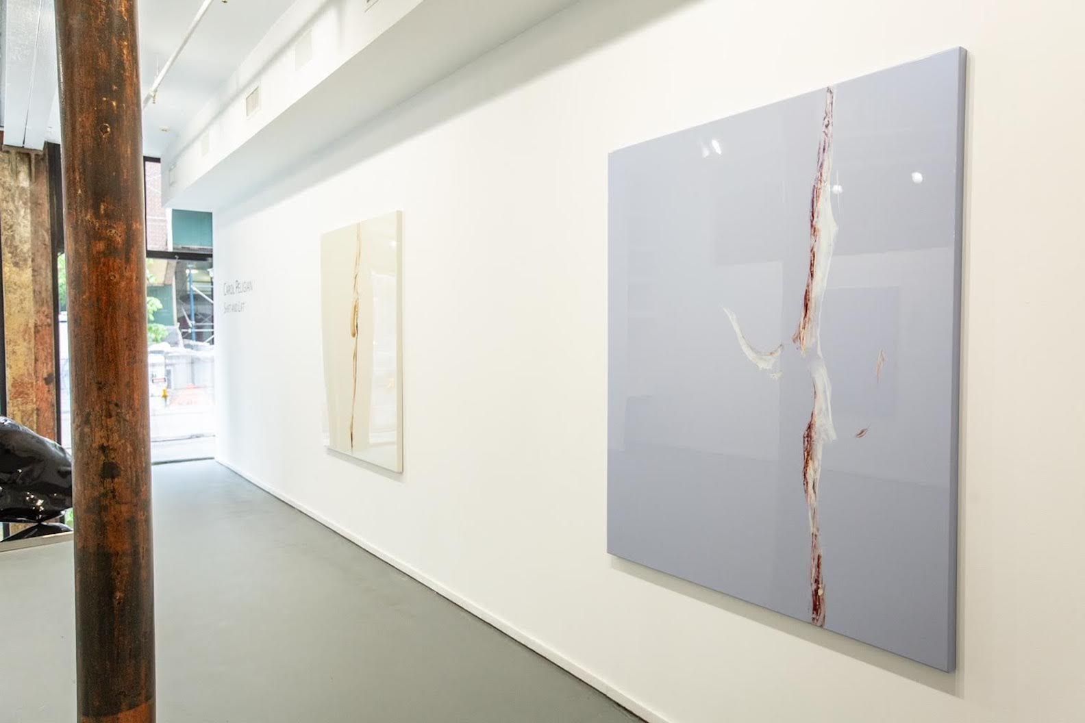 Carol Peligian, Shift and Lift at Atamian Hovsepian, photo 5